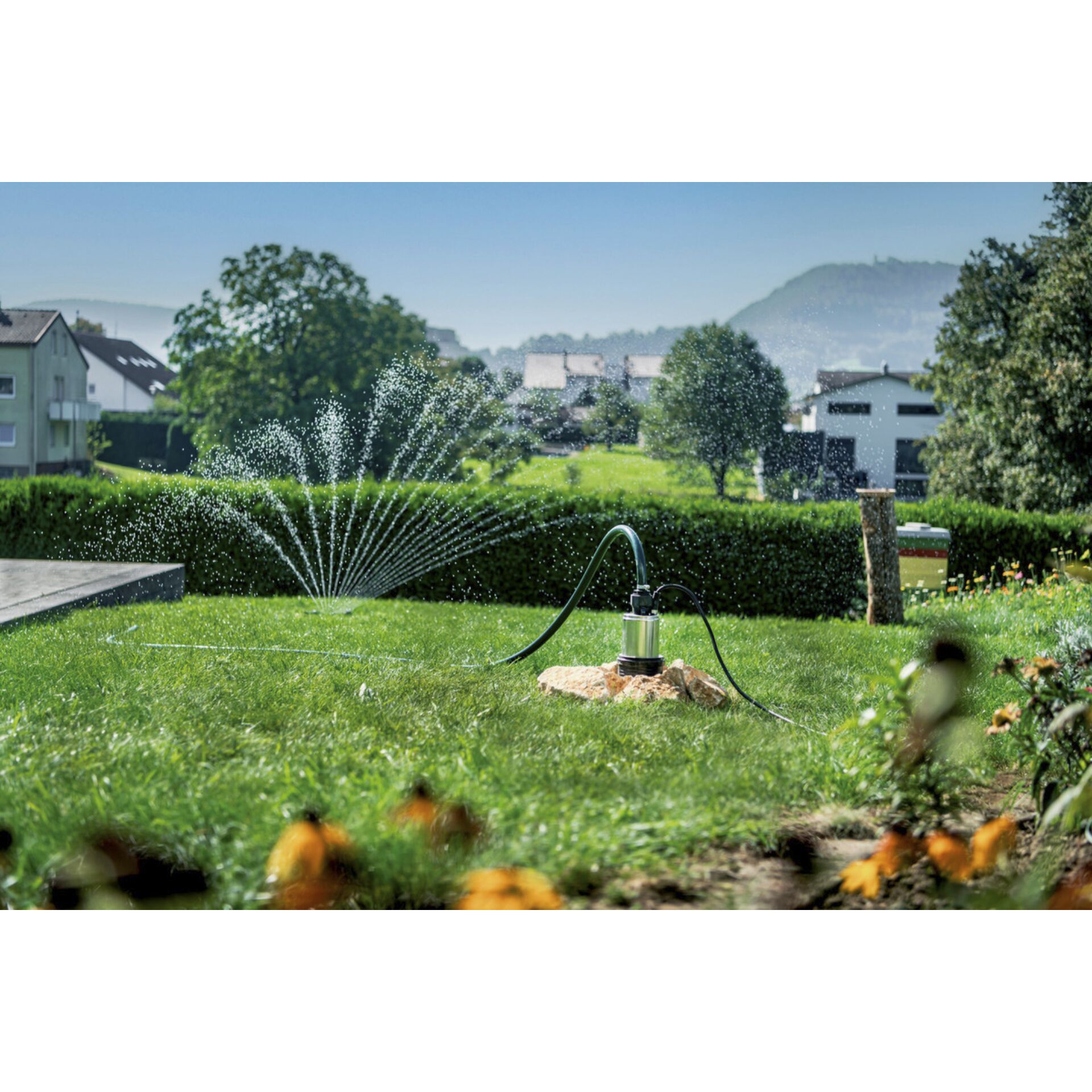 Gras, Rasen, Wasser, Hinterhof, Nachbarschaft