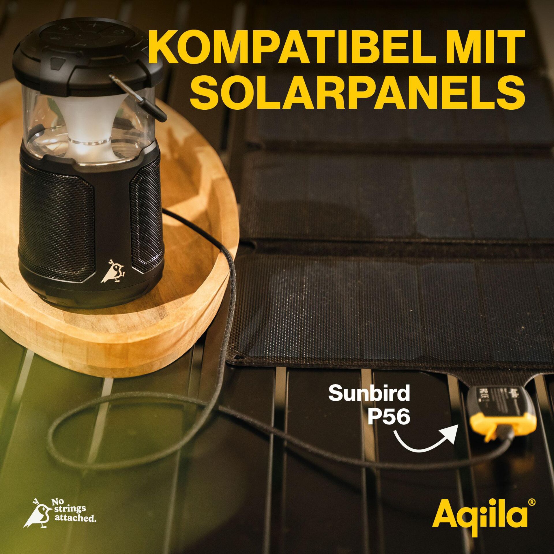 Lampe, Laterne