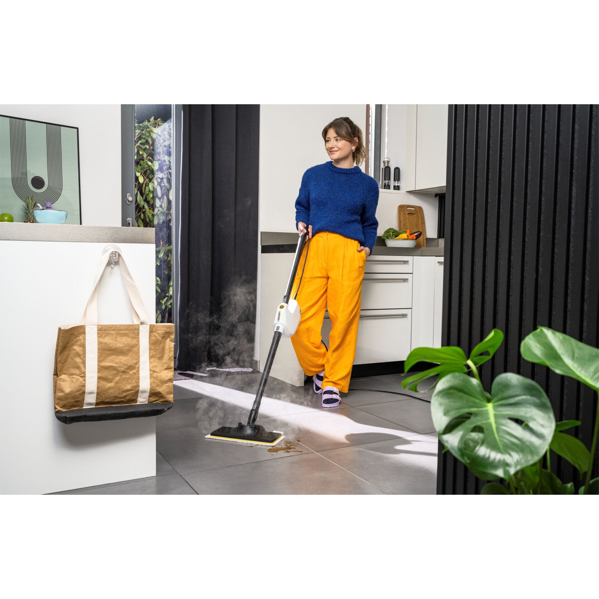 Innenarchitektur, Handtasche, Reinigen, Person, Topfpflanze