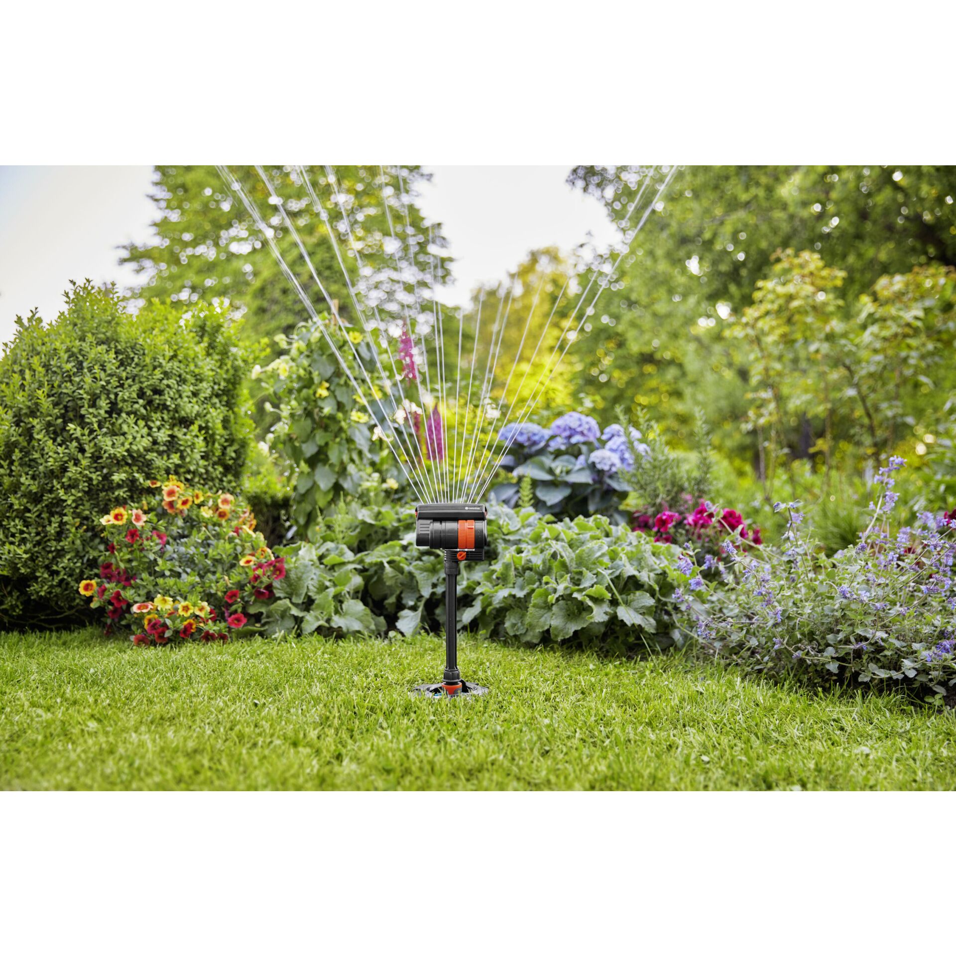Gras, Wasser, Garten, Rasen, Maschine