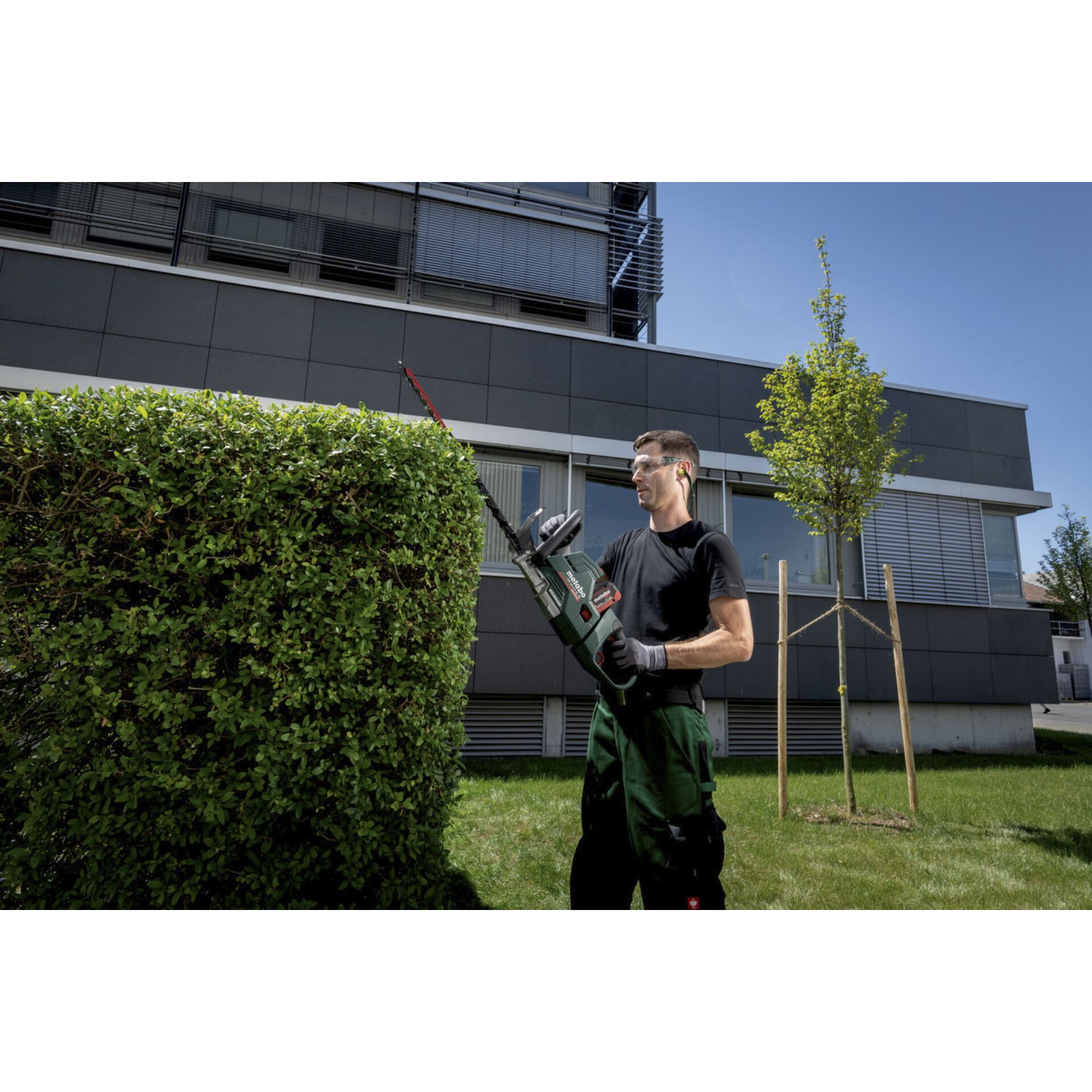 Gras, Hecke, Rasen, Person, Innenarchitektur