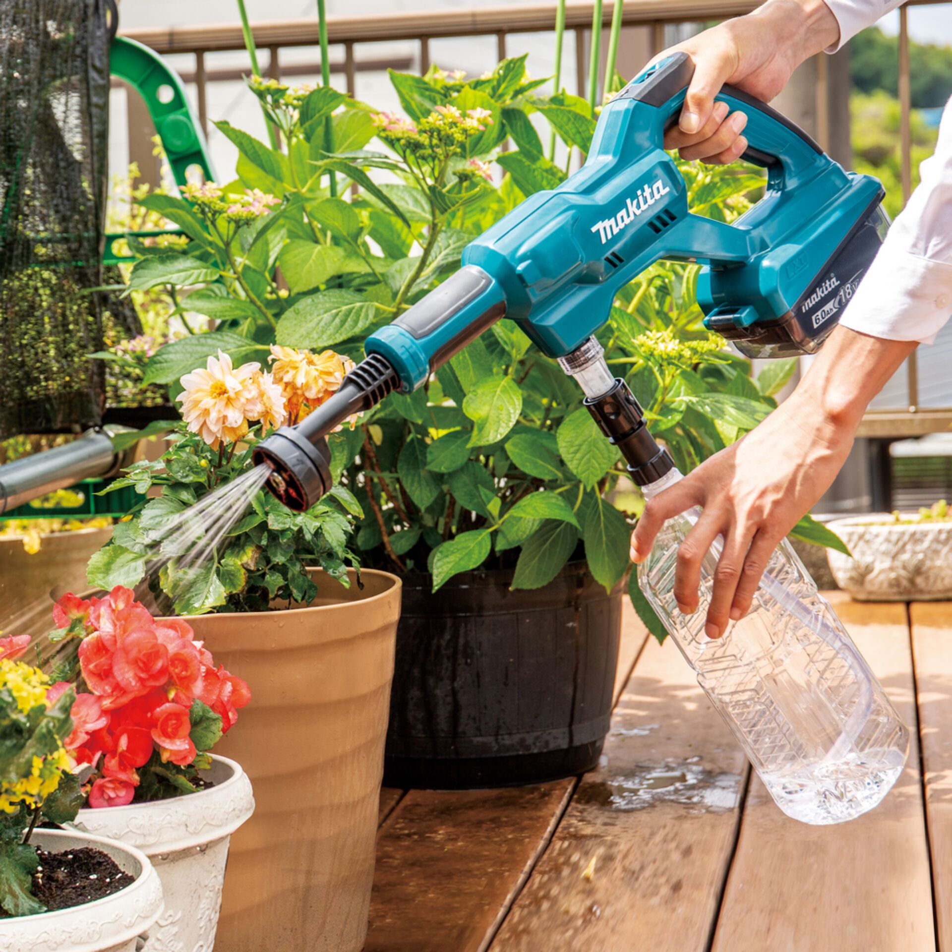 Garten, Draußen, Gartenarbeit, Innenarchitektur, Pflanze im Topf
