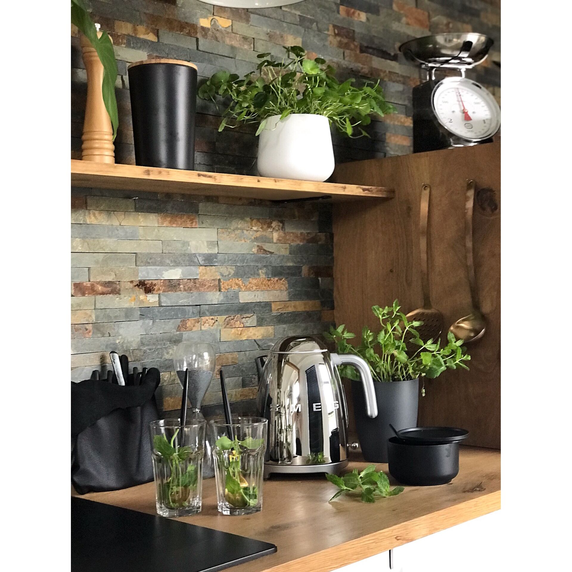 Innenarchitektur, Tasse, Pflanze, Pflanze im Topf, Regal, Innenarchitektur, Tasse, Pflanze, Pflanze im Topf, Regal, Innenarchitektur, Tasse, Pflanze, Pflanze im Topf, Regal, Innenarchitektur, Tasse, Pflanze, Pflanze im Topf, Regal