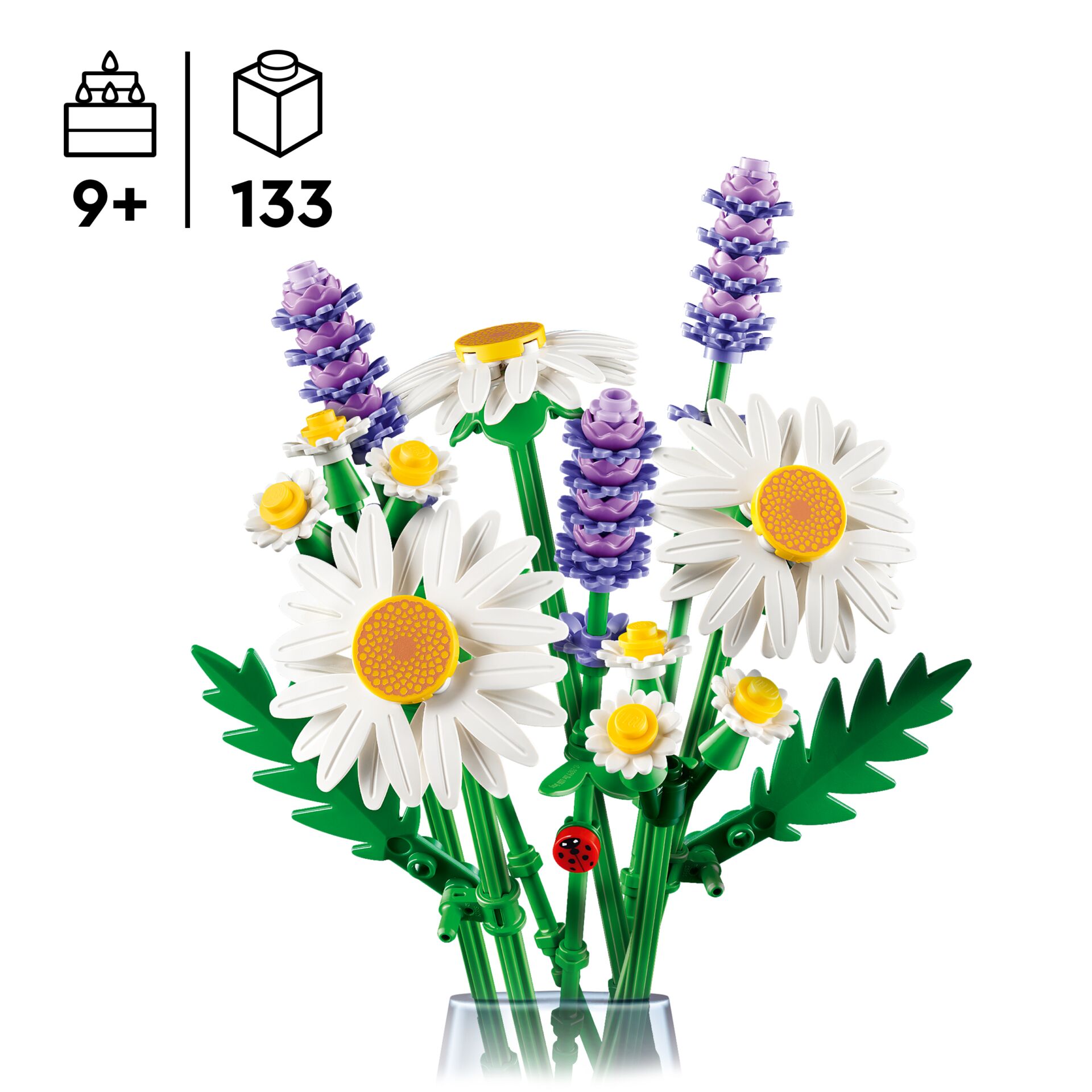 Blume, Pflanze, Gänseblümchen, Blumen-Arrangement, Blumenstrauß