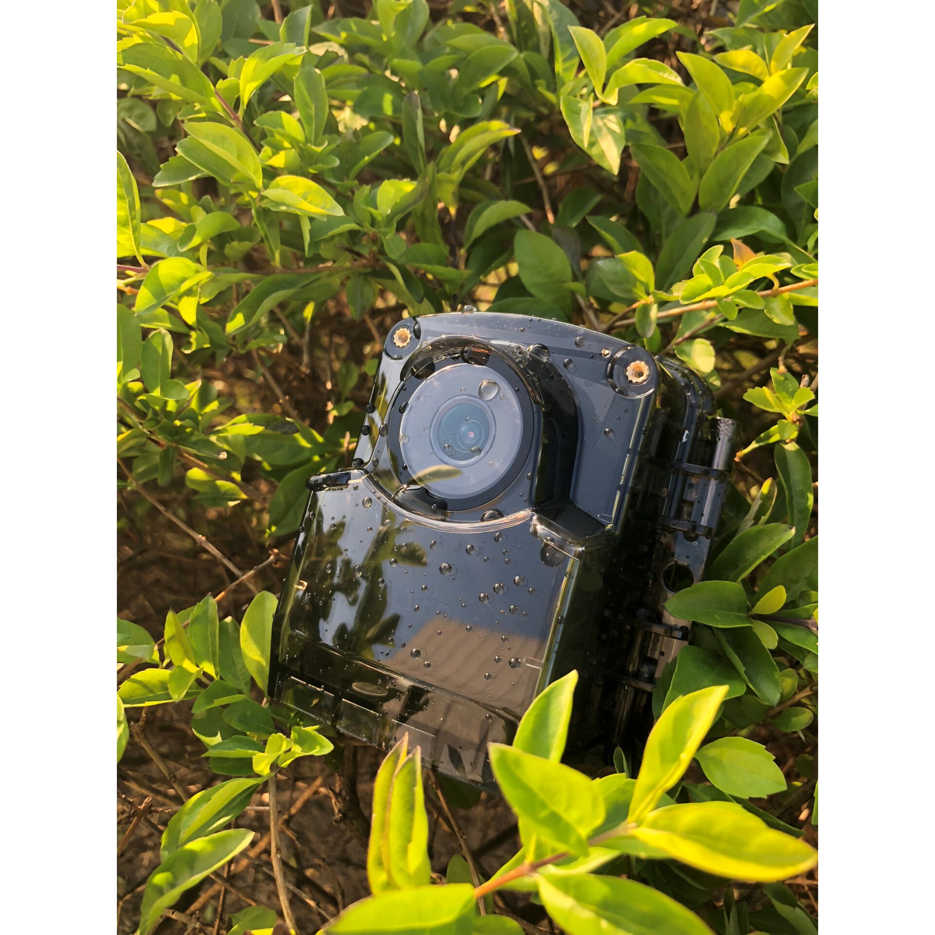Photographie, Kamera, Elektronik, Videokamera