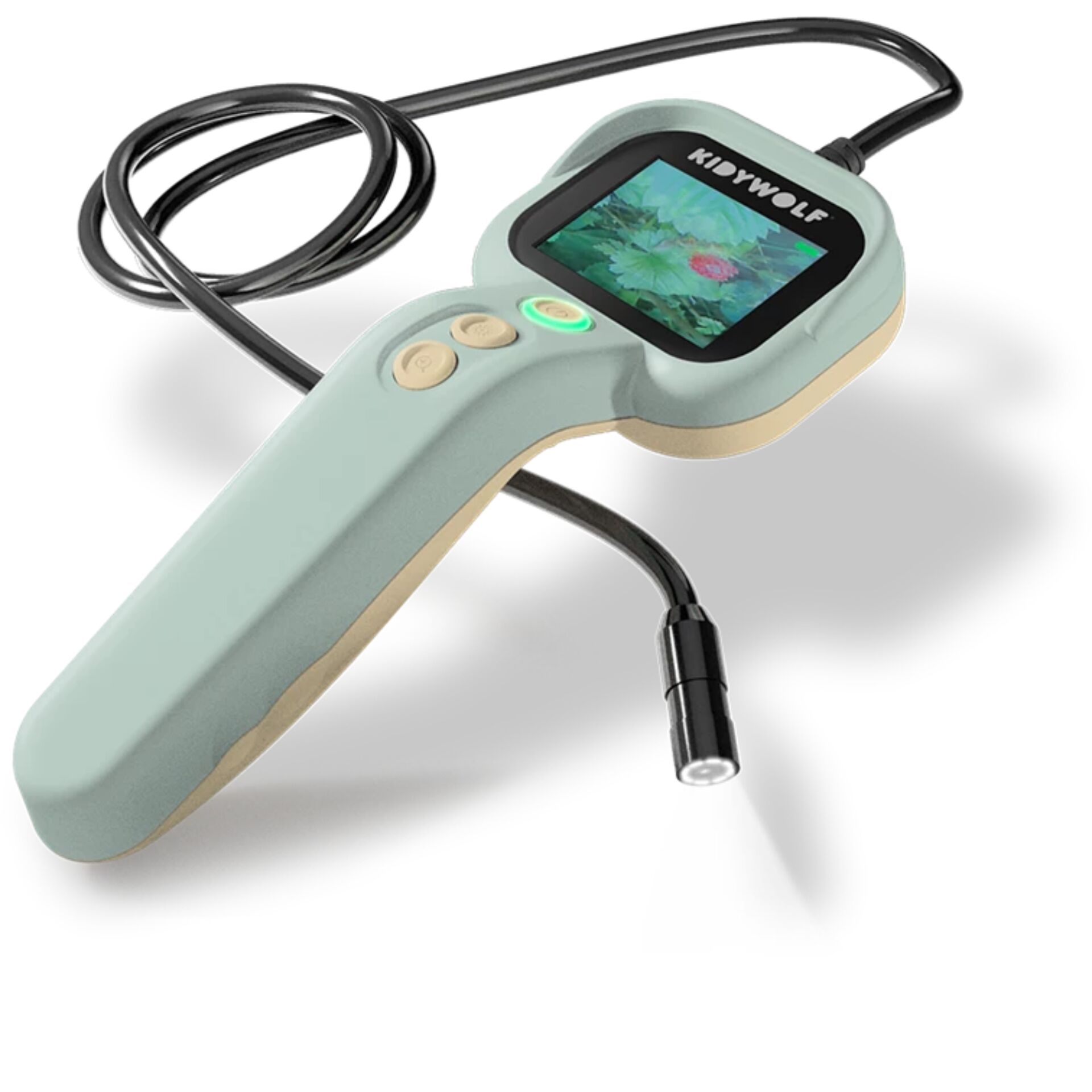 Thermometer, Infrarot, Fieberthermometer, Handheld, Anzeige
