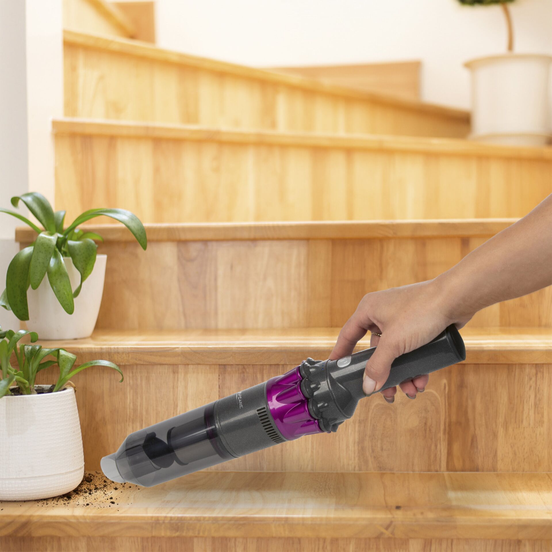 Innenarchitektur, Hartholz, Holz, Pflanze, Pflanze im Topf