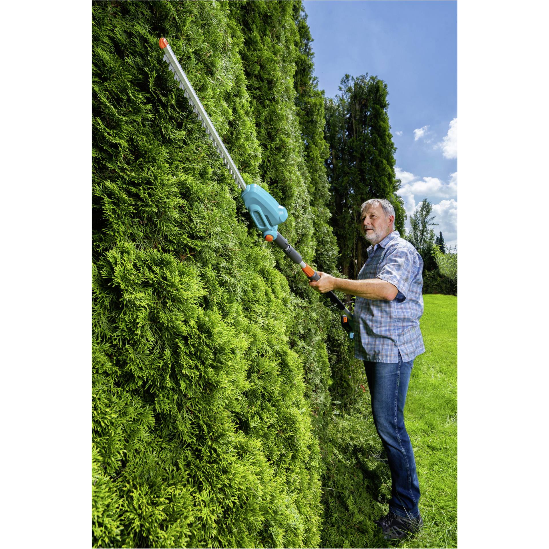 Garten, Draußen, Hecke, Innenarchitektur, Gartenarbeit