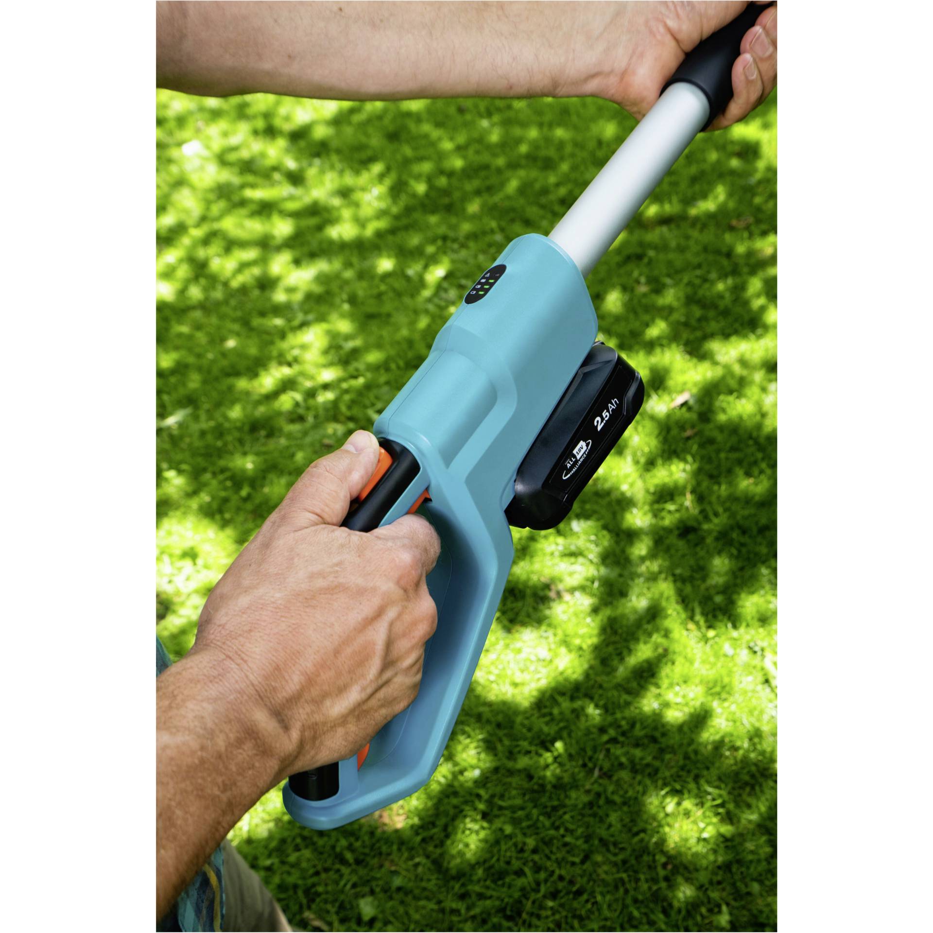 Gras, Pflanze, Drinnen, Innenarchitektur, Schusswaffe