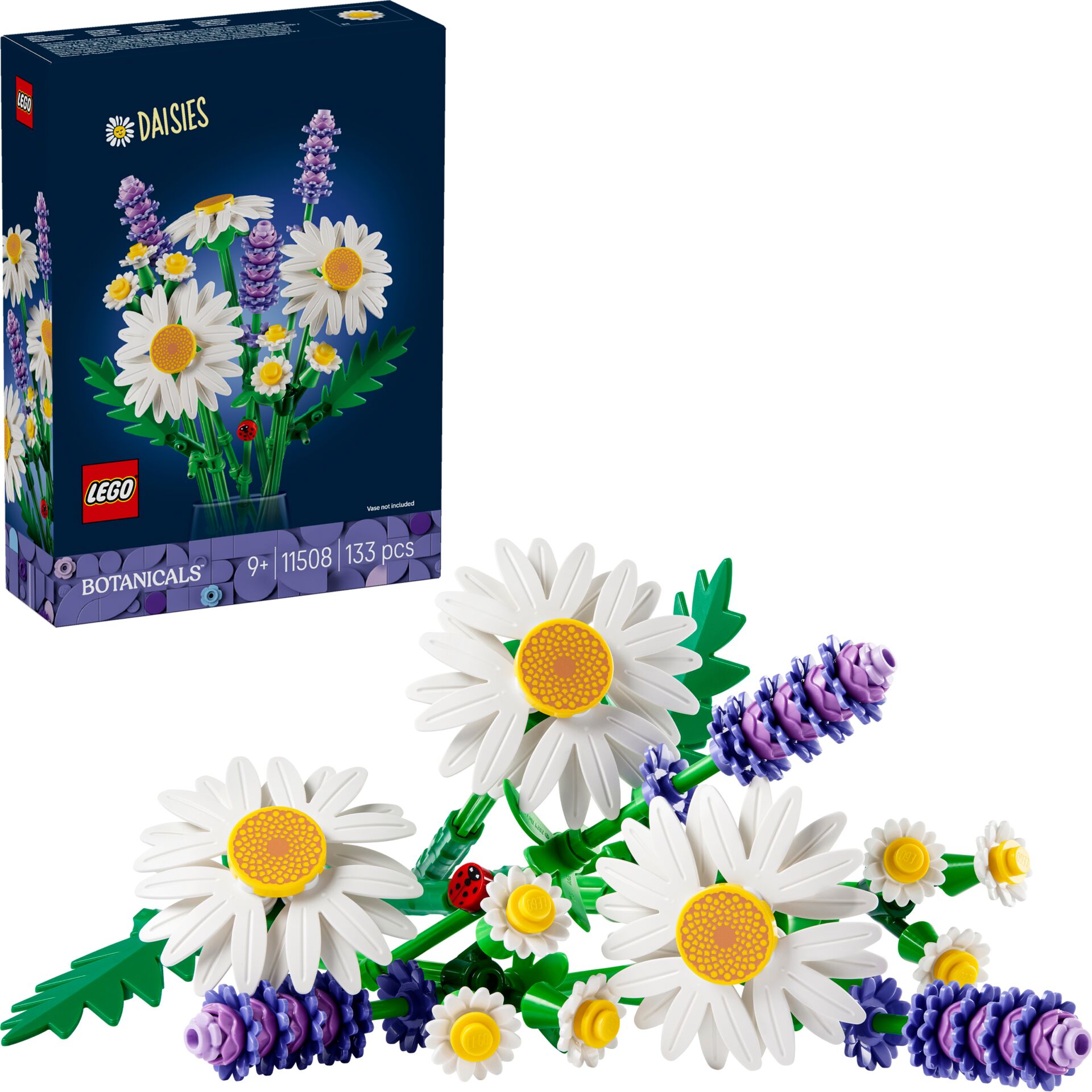 Gänseblümchen, Blume, Pflanze, Blumen-Arrangement, Blumenstrauß