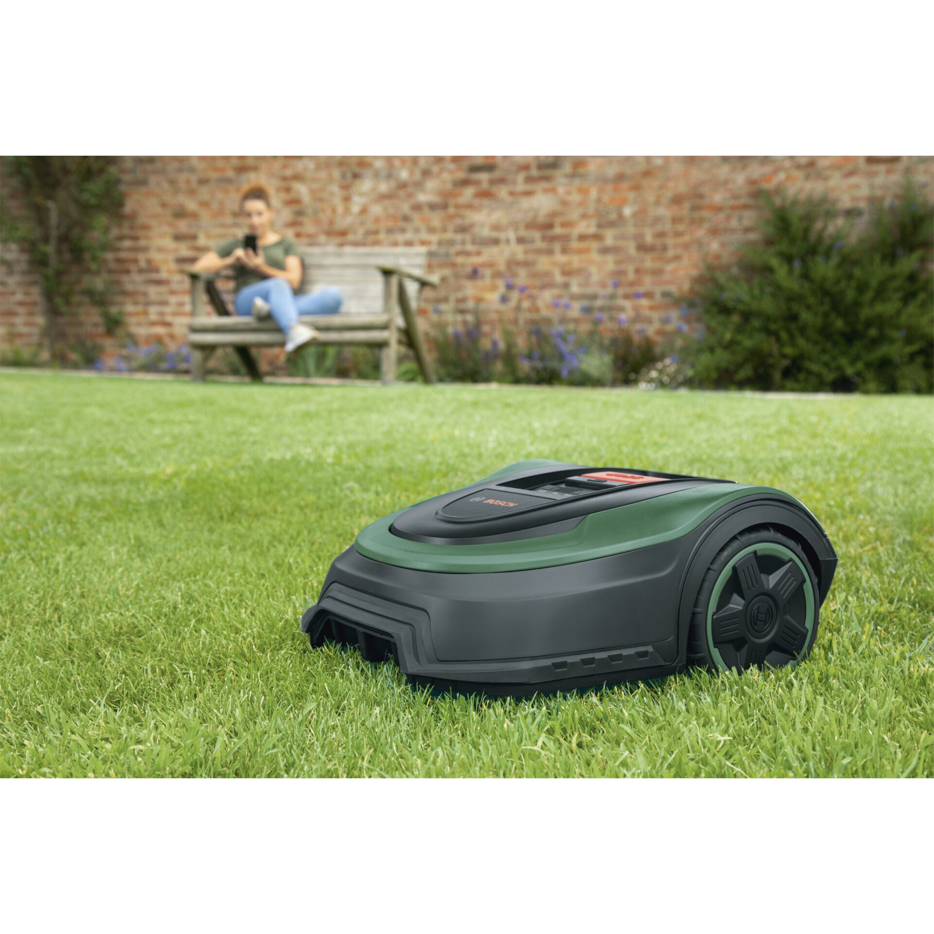 Gras, Rasen, Mädchen, Person, Jugendlich