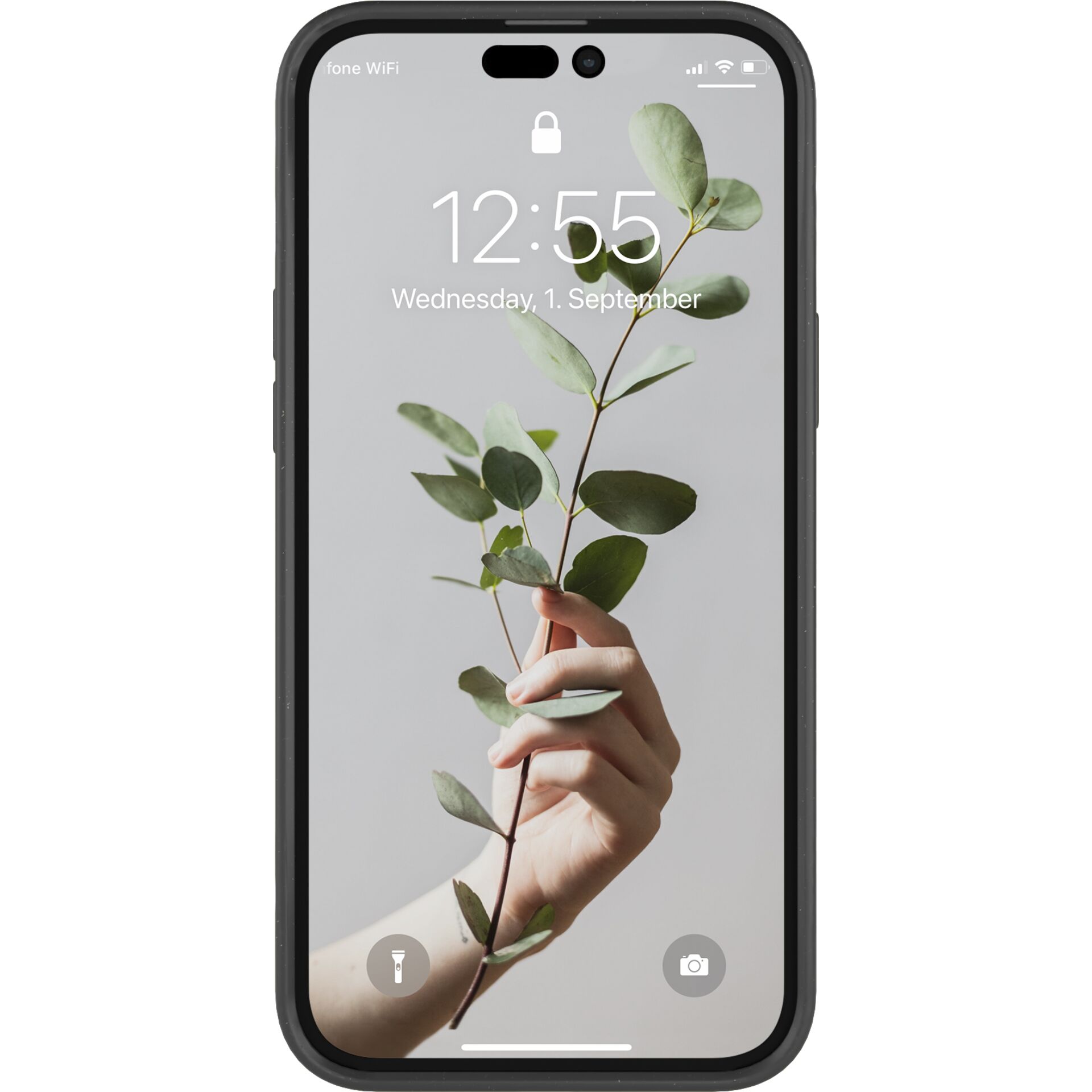 Elektronik, Handy, Telefon, iPhone