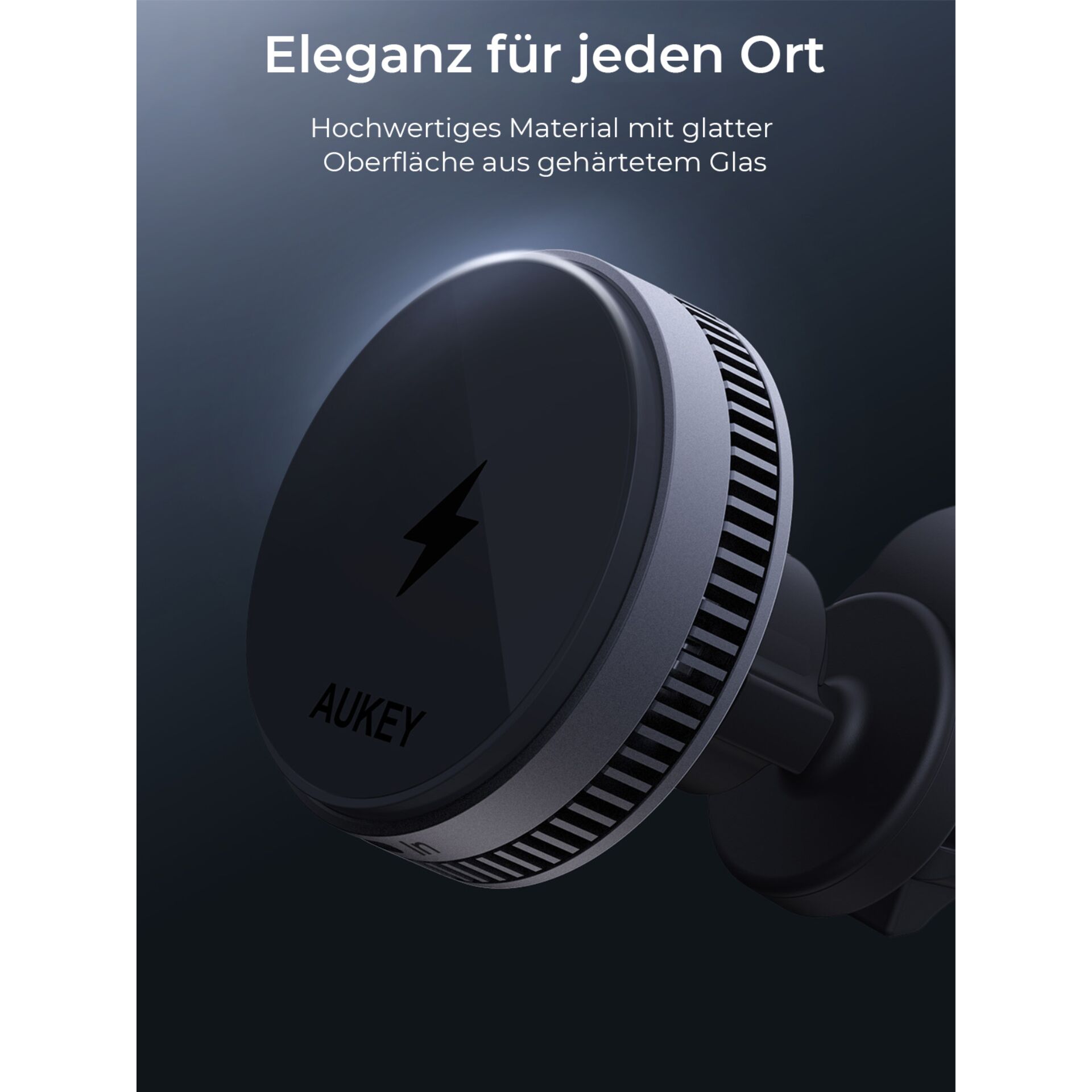 Elektrisches Gerät, Mikrophon, Elektronik