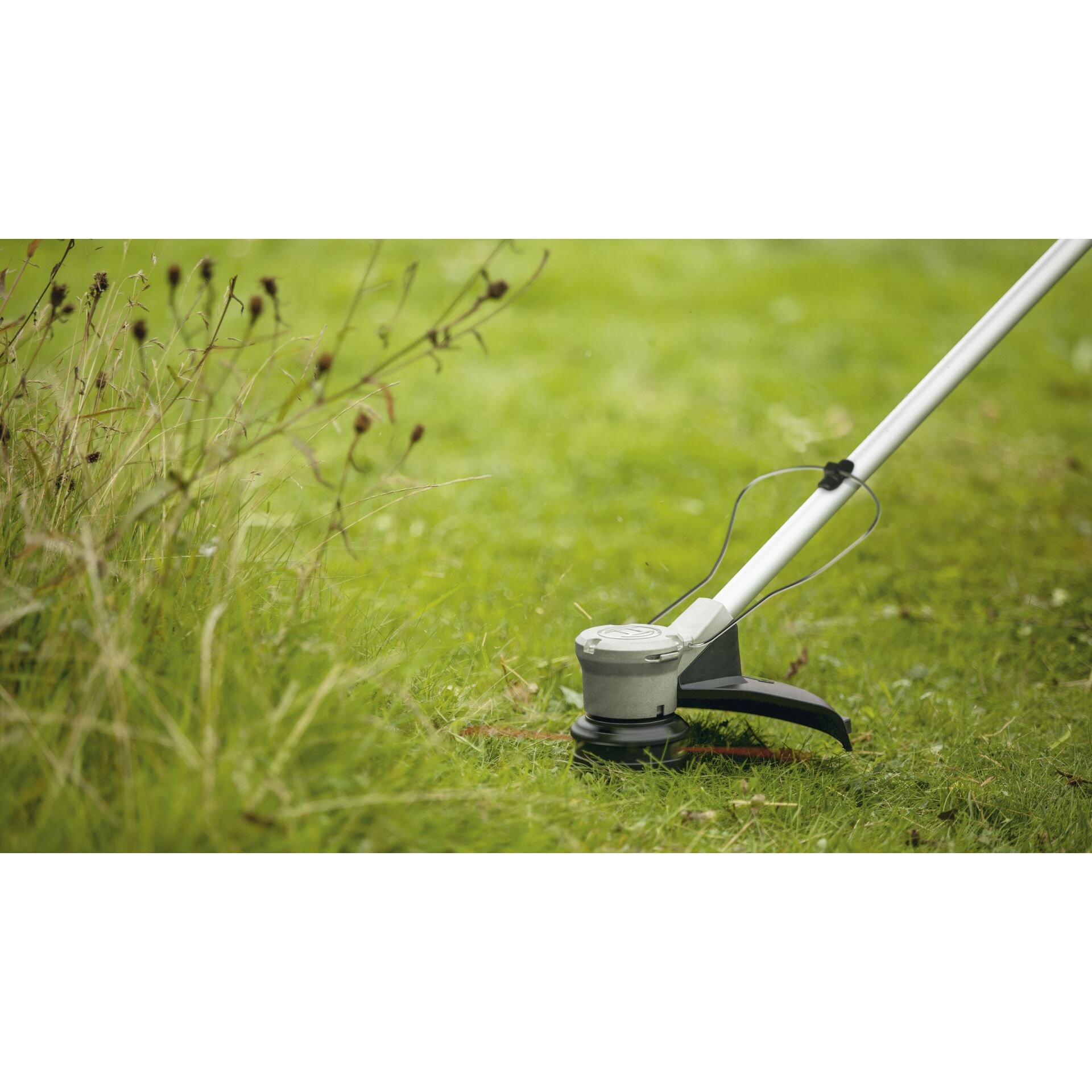Gras, Rasen, Pflanze, Gerät