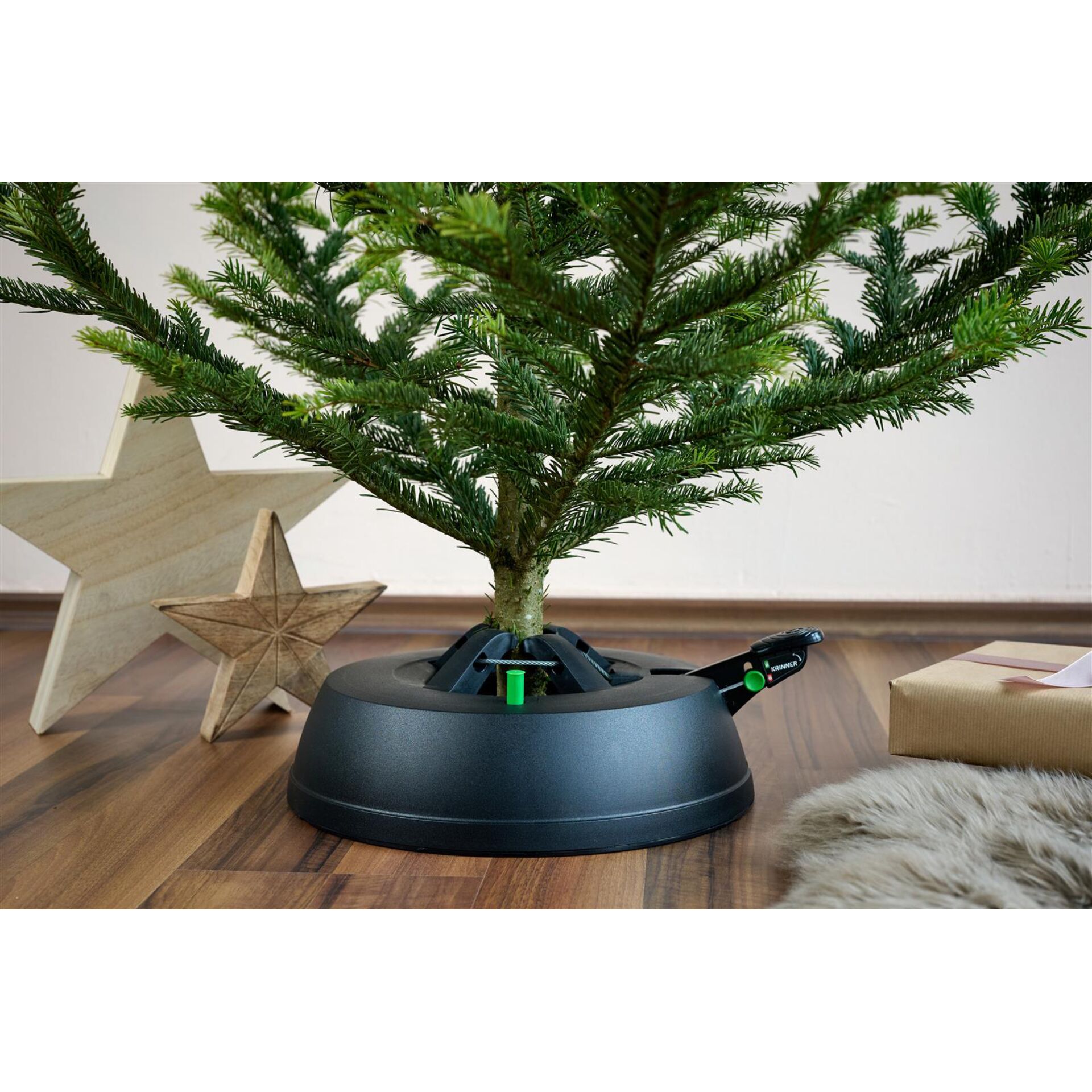Pflanze, Baum, Topfpflanze, Konifer, Holz