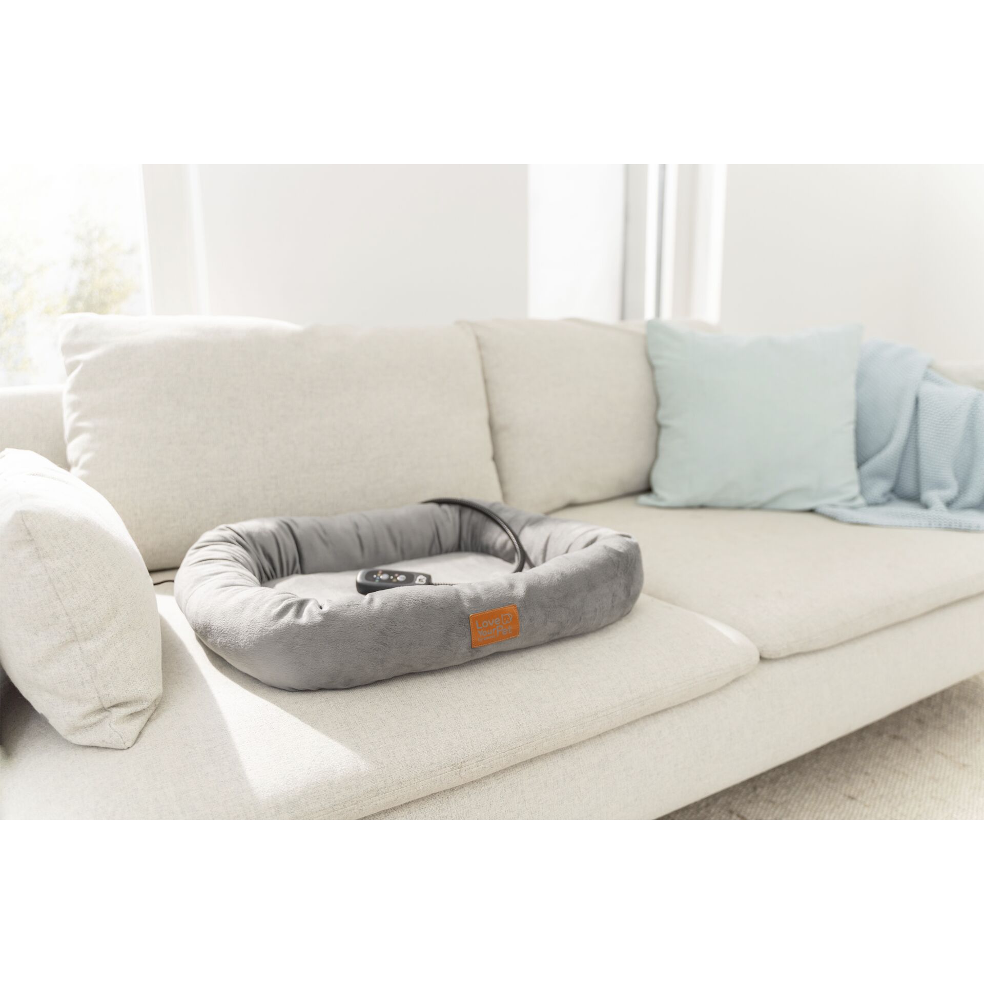 Kissen, Dekoration für Zuhause, Couch, Mobiliar, Kopfkissen