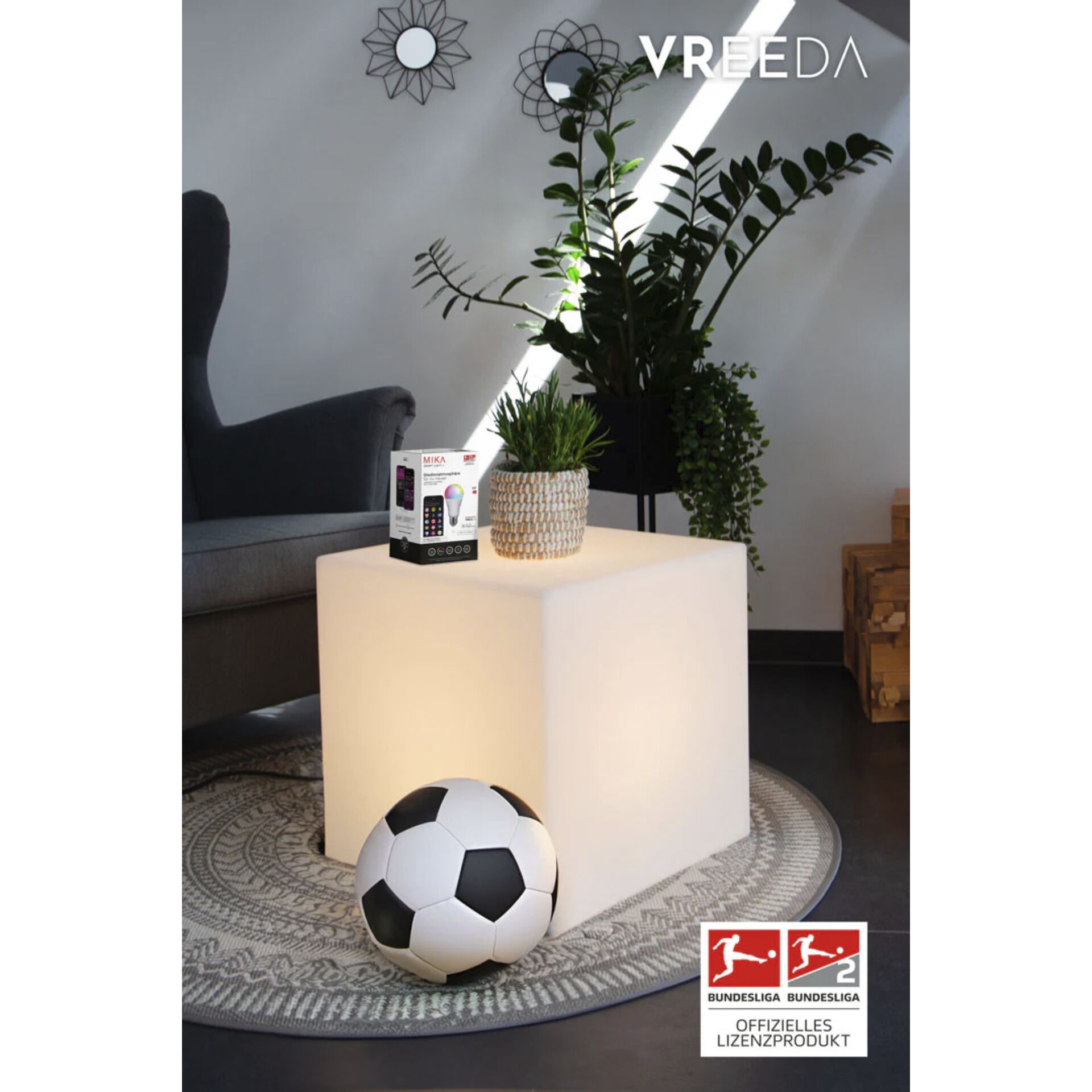 Fußball-Ball, Topfpflanze, Pflanzgefäß, Töpferei, Vase