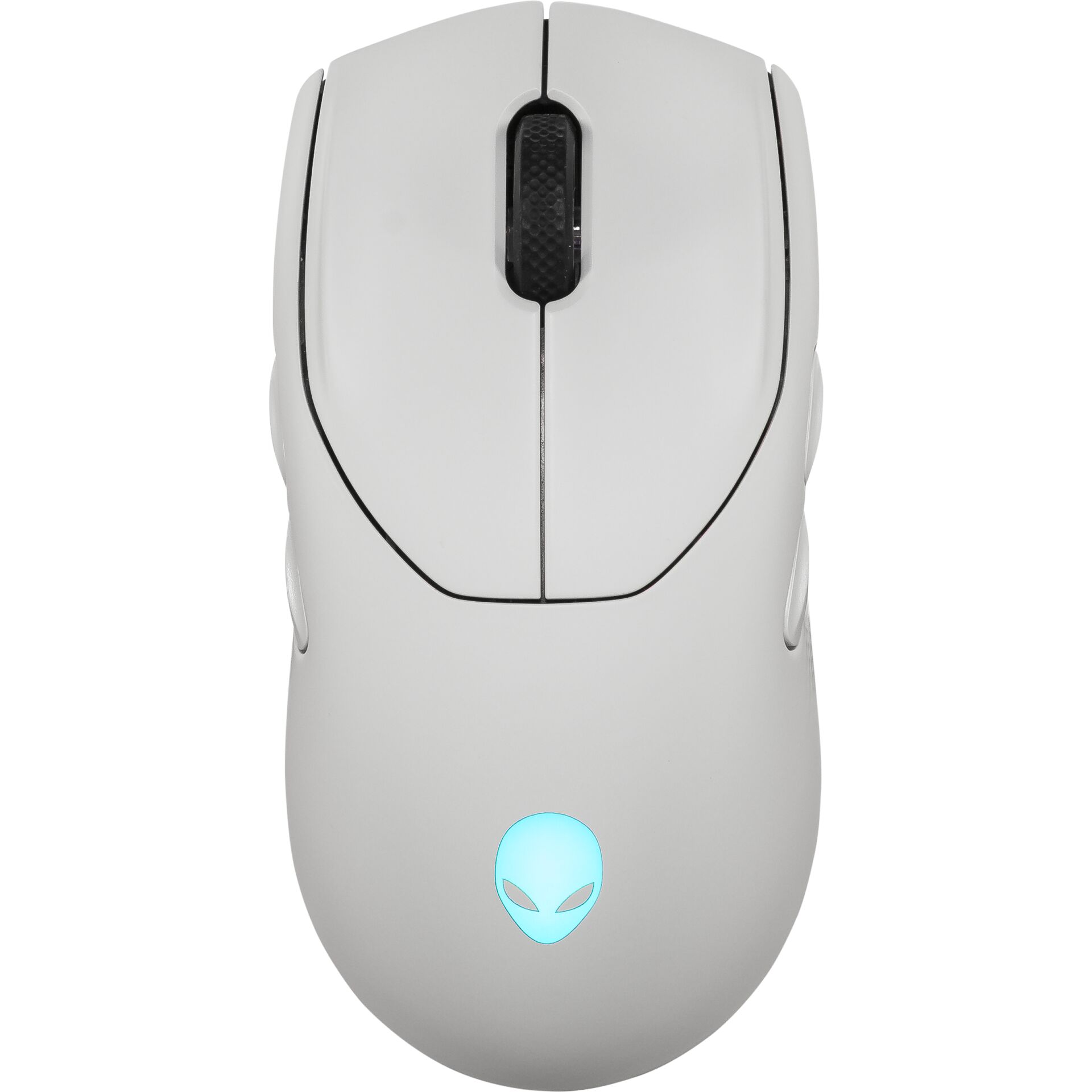 Computerausrüstung, Elektronik, Hardware, Maus, Computerausrüstung, Elektronik, Hardware, Maus