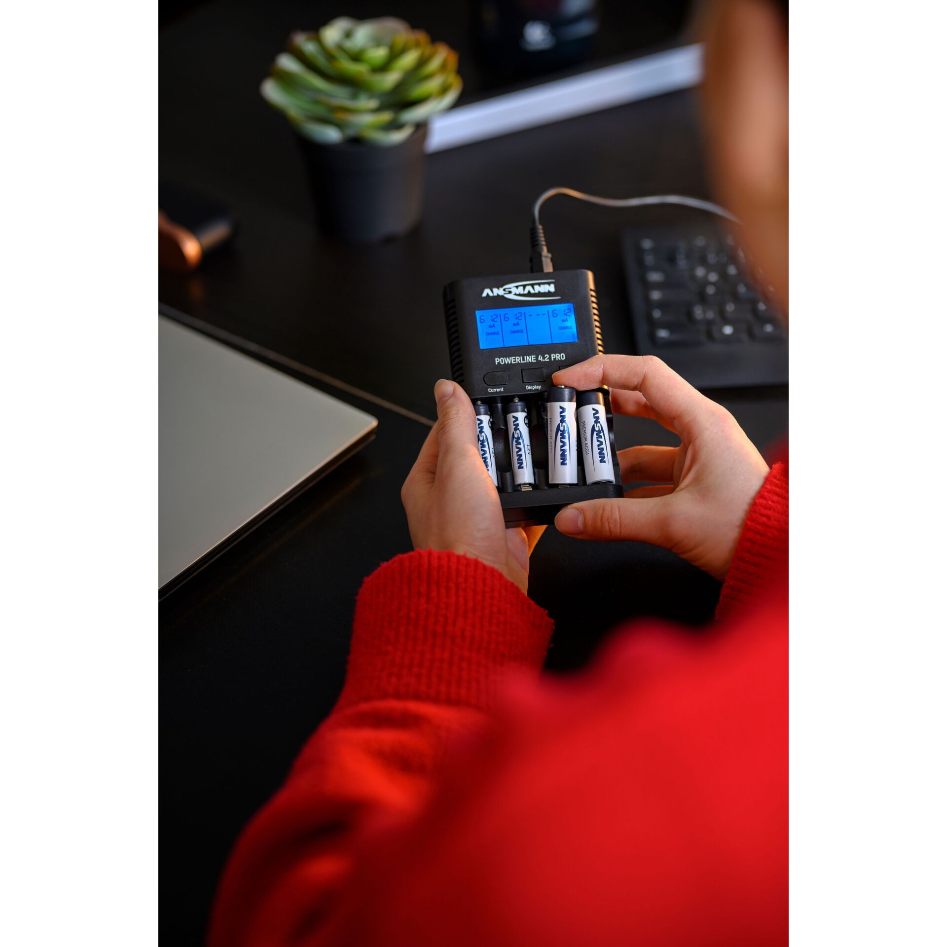 Adapter, Elektronik, Hardware, Überwachen, Bildschirm, Computerausrüstung, Überwachen, Bildschirm, Telefon, Pflanze