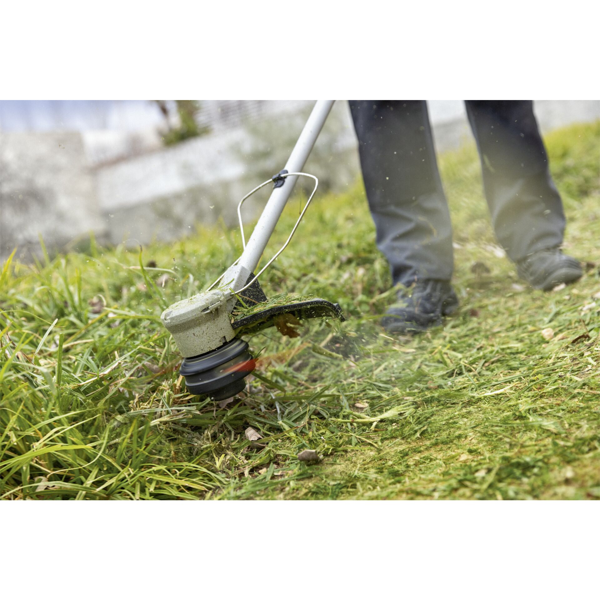 Gras, Rasen, Pflanze, Gerät