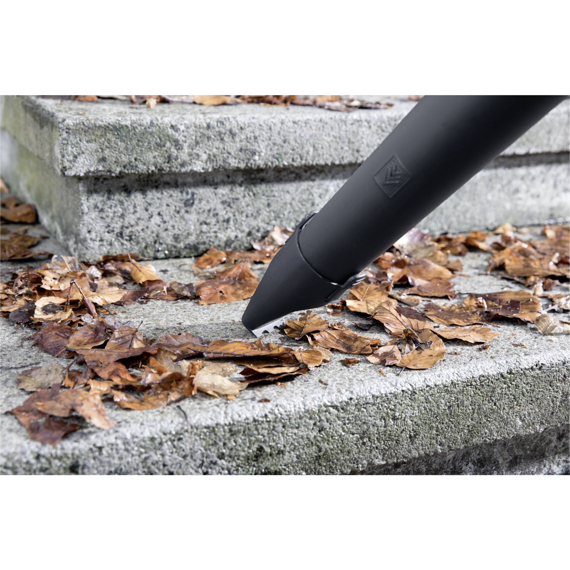 Blatt, Pflanze, Wohnen, Haus, Dach