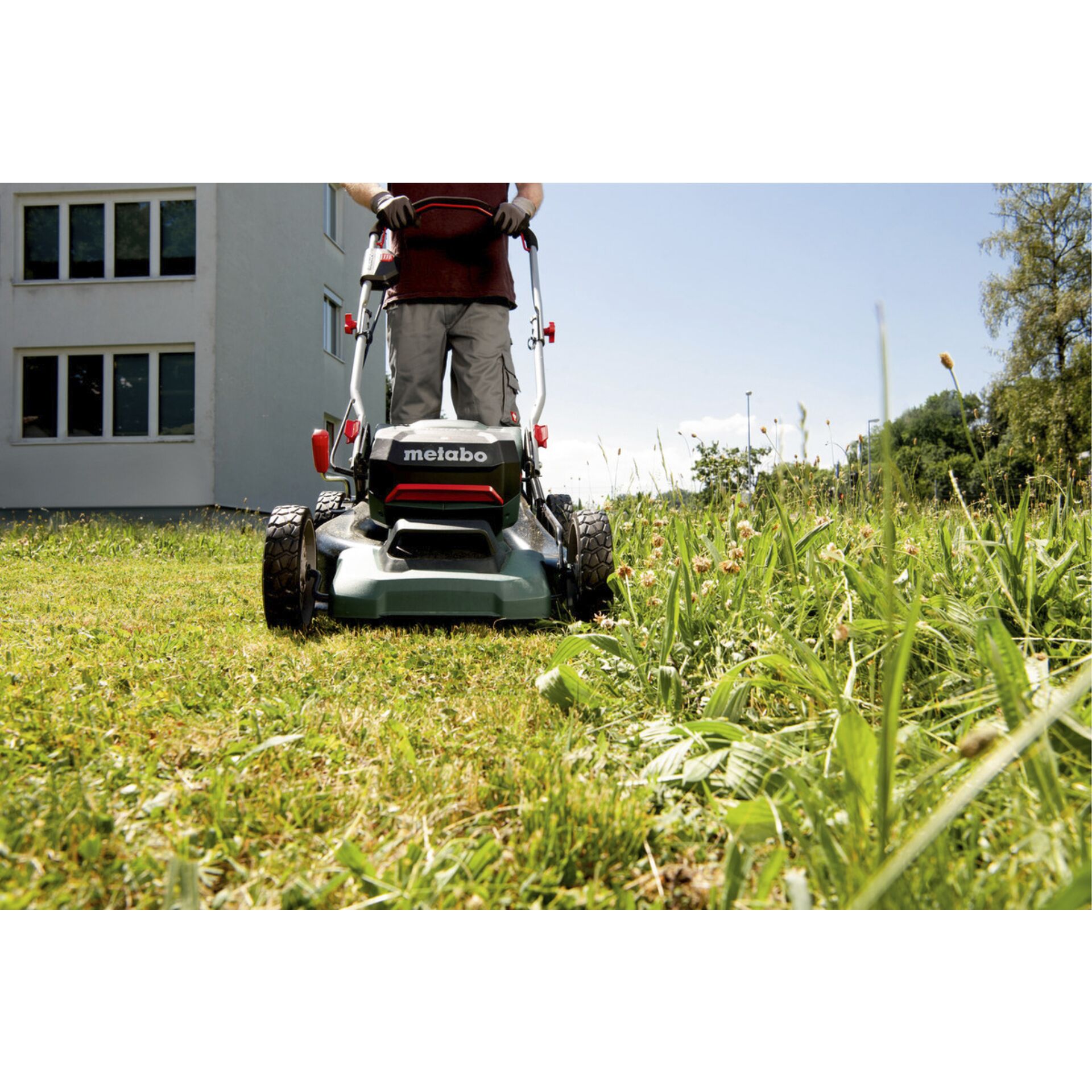 Gras, Rasen, Pflanze, Gerät, Rasenmäher
