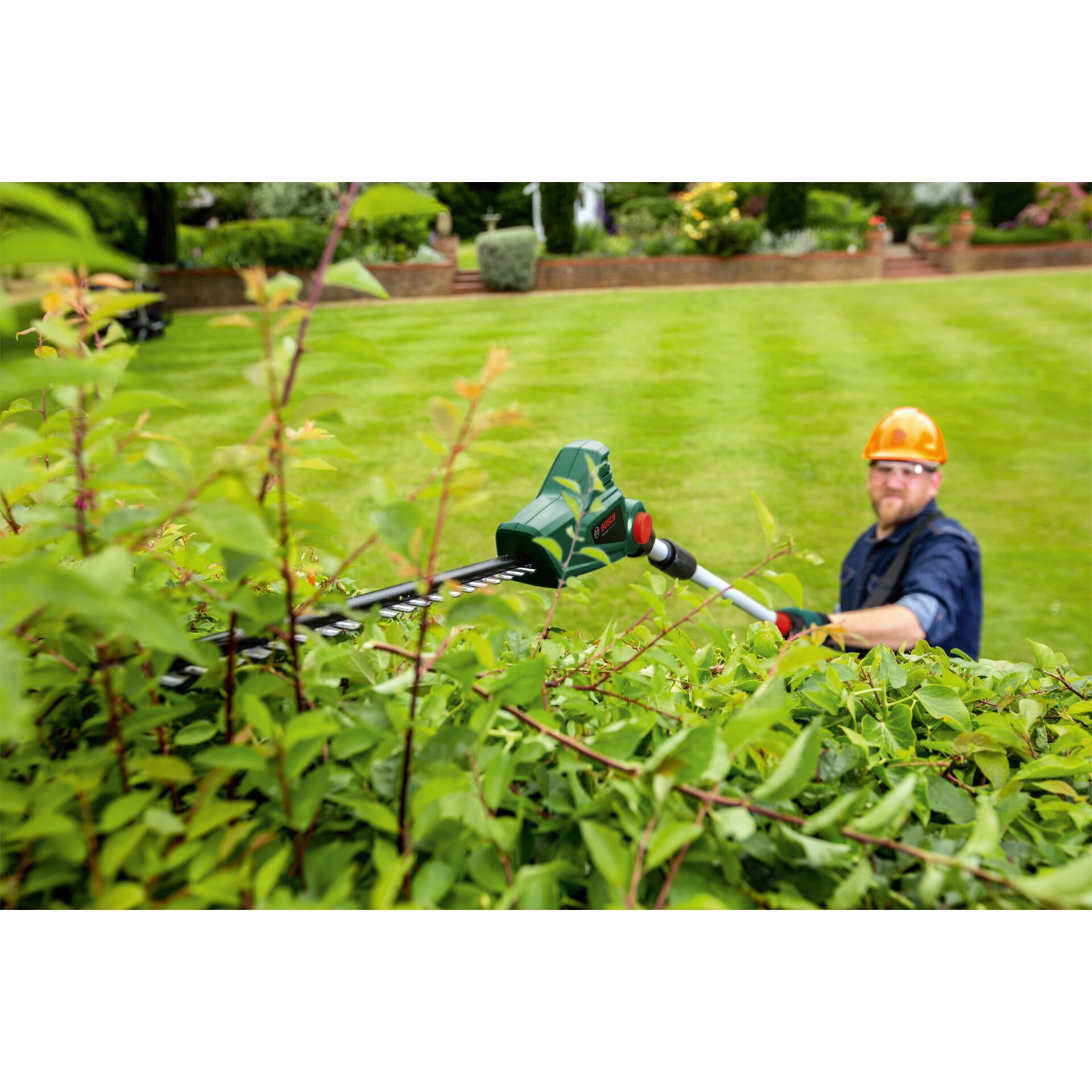 Gras, Rasen, Garten, Handschuh, Person