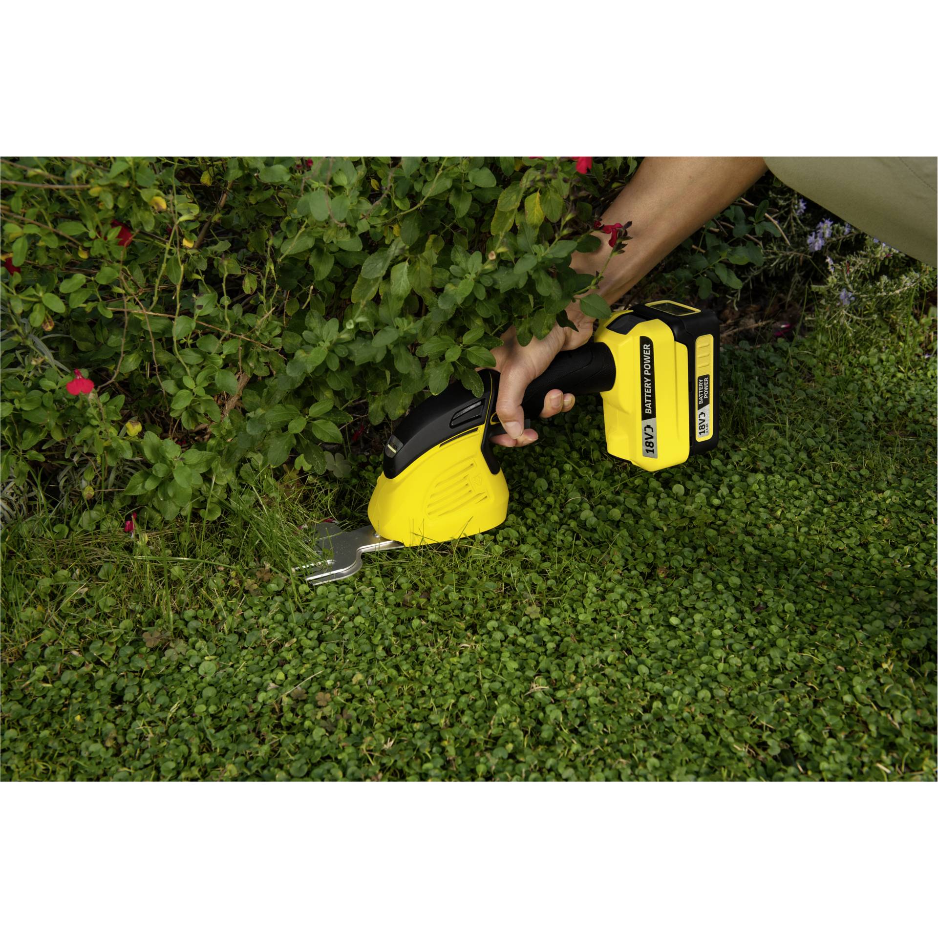 Gras, Garten, Draußen, Rasen, Elektrische Bohrmaschine