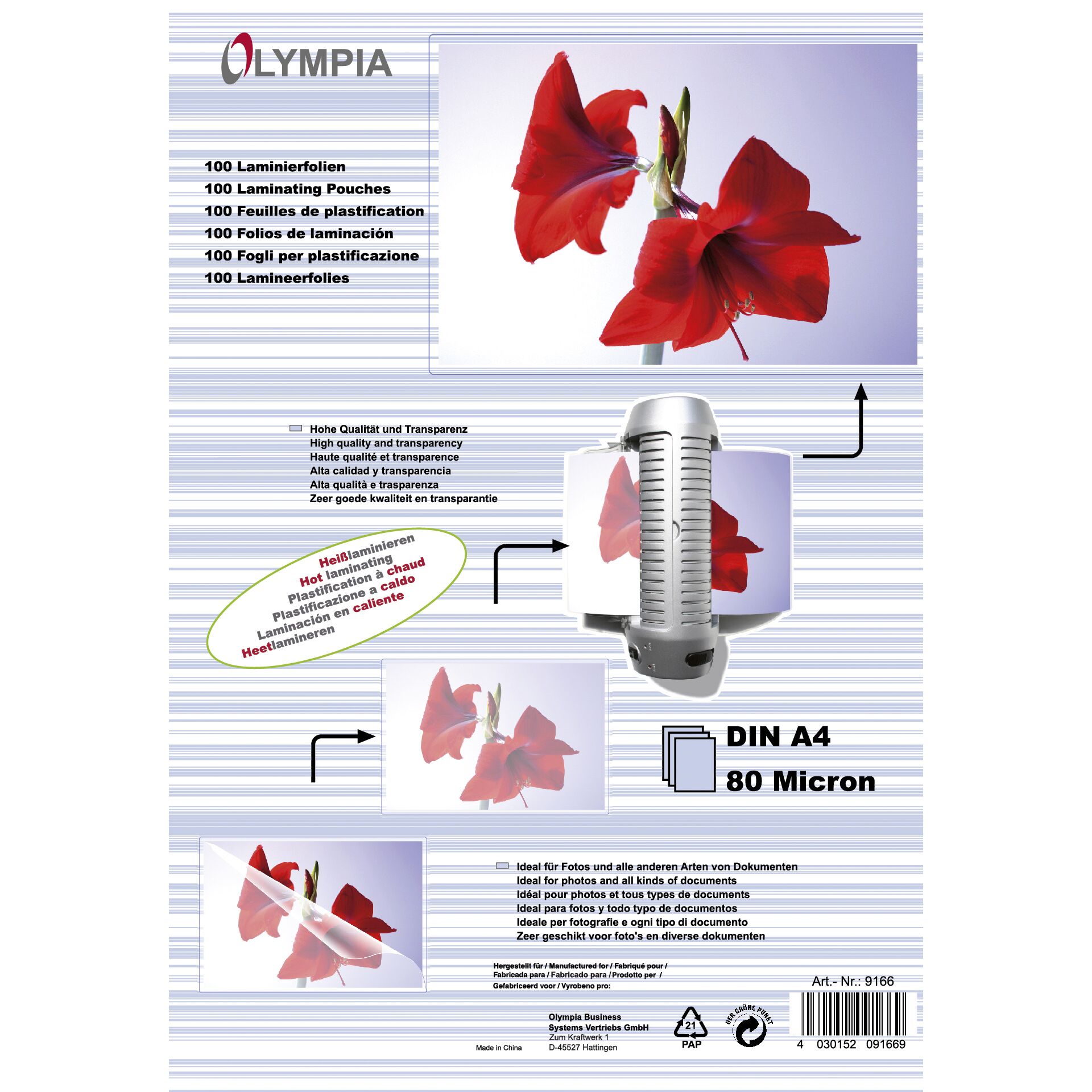 Blume, Blütenblatt, Pflanze, Werbung, Plakat