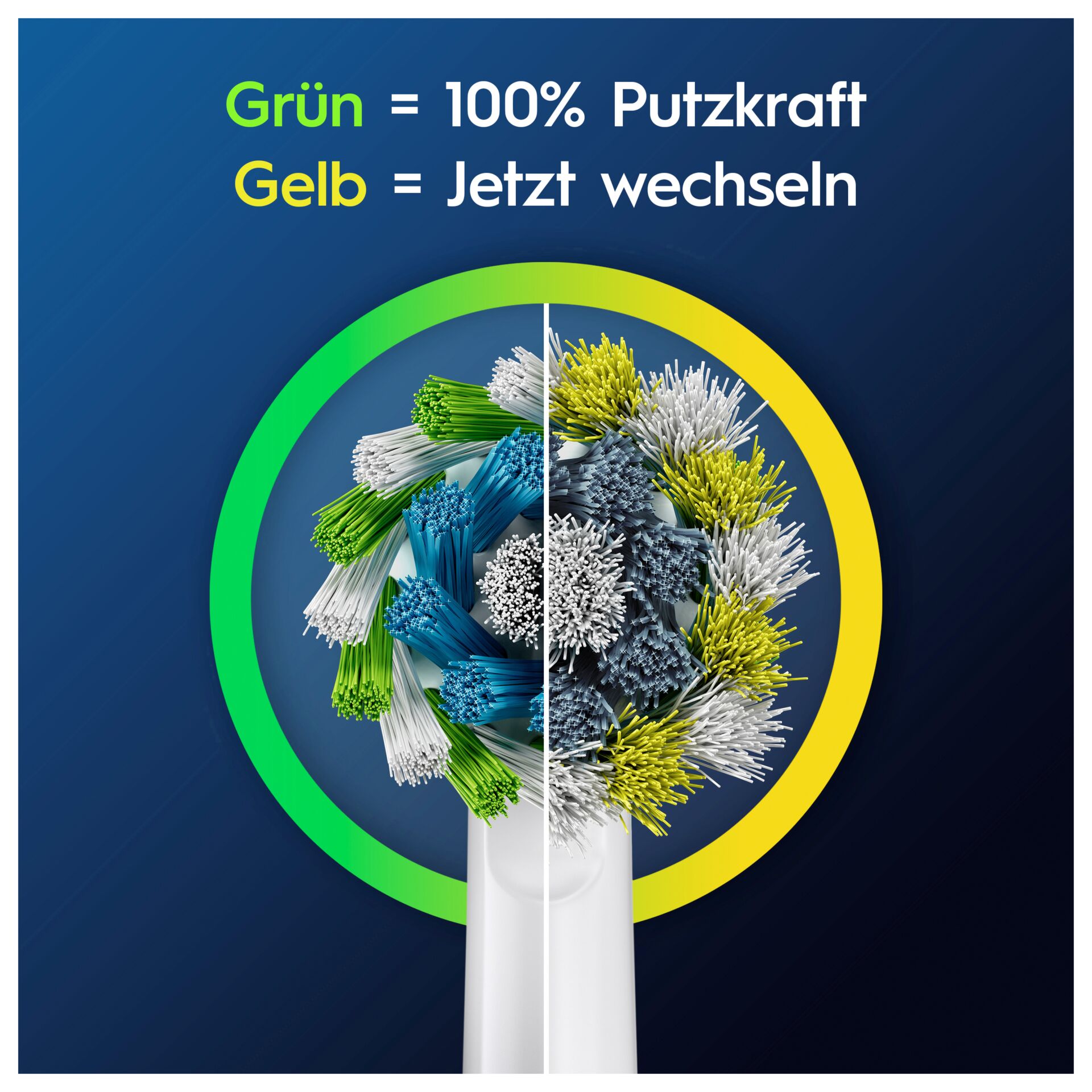 Zahnbürstenkopf, Kunststoff, Mehrfarbig, Bürstenborsten, Experimentelle Grafik