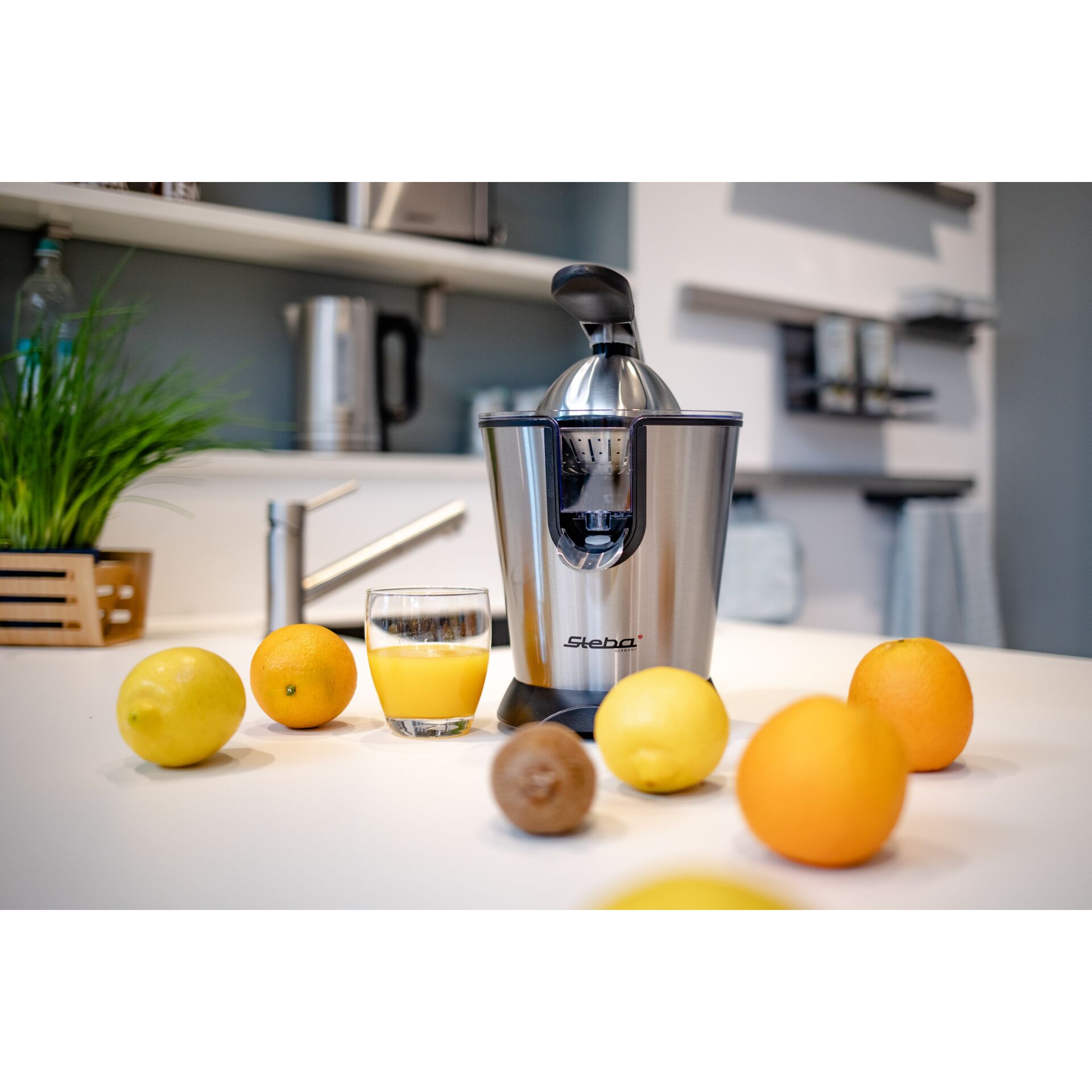 Flasche, Shaker