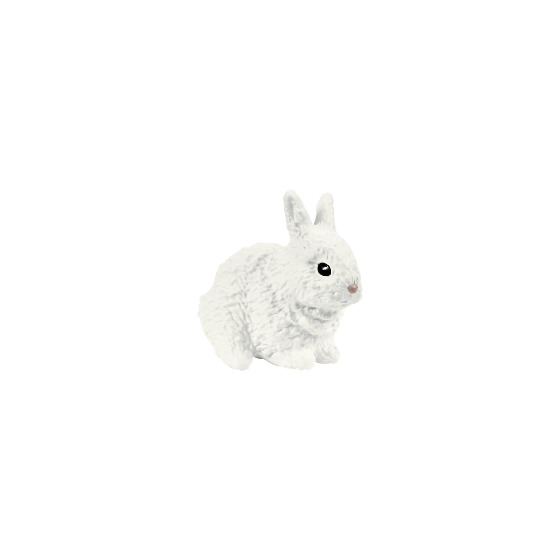 Tier, Säugetier, Hase