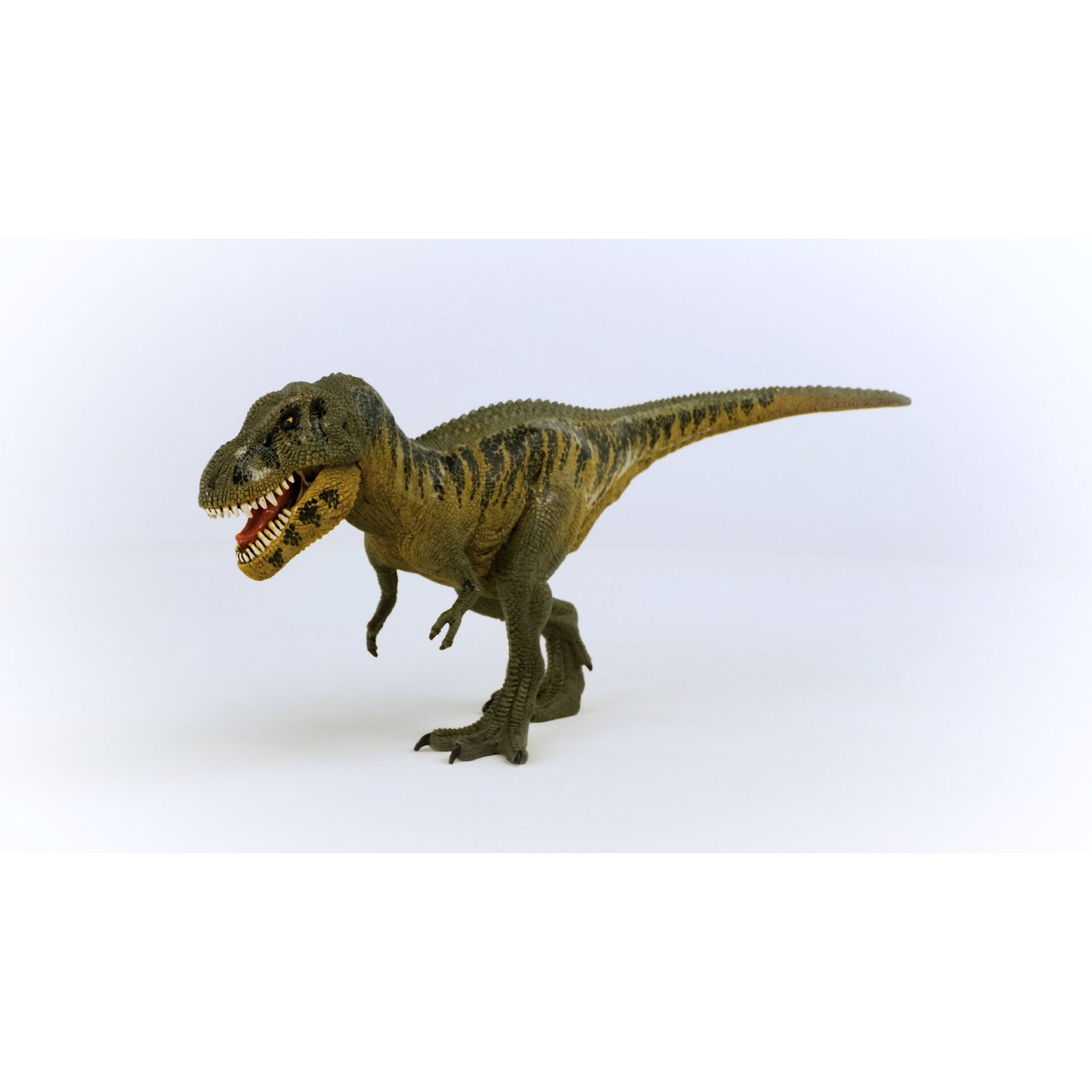 Tier, Dinosaurier, Reptil, T-Rex