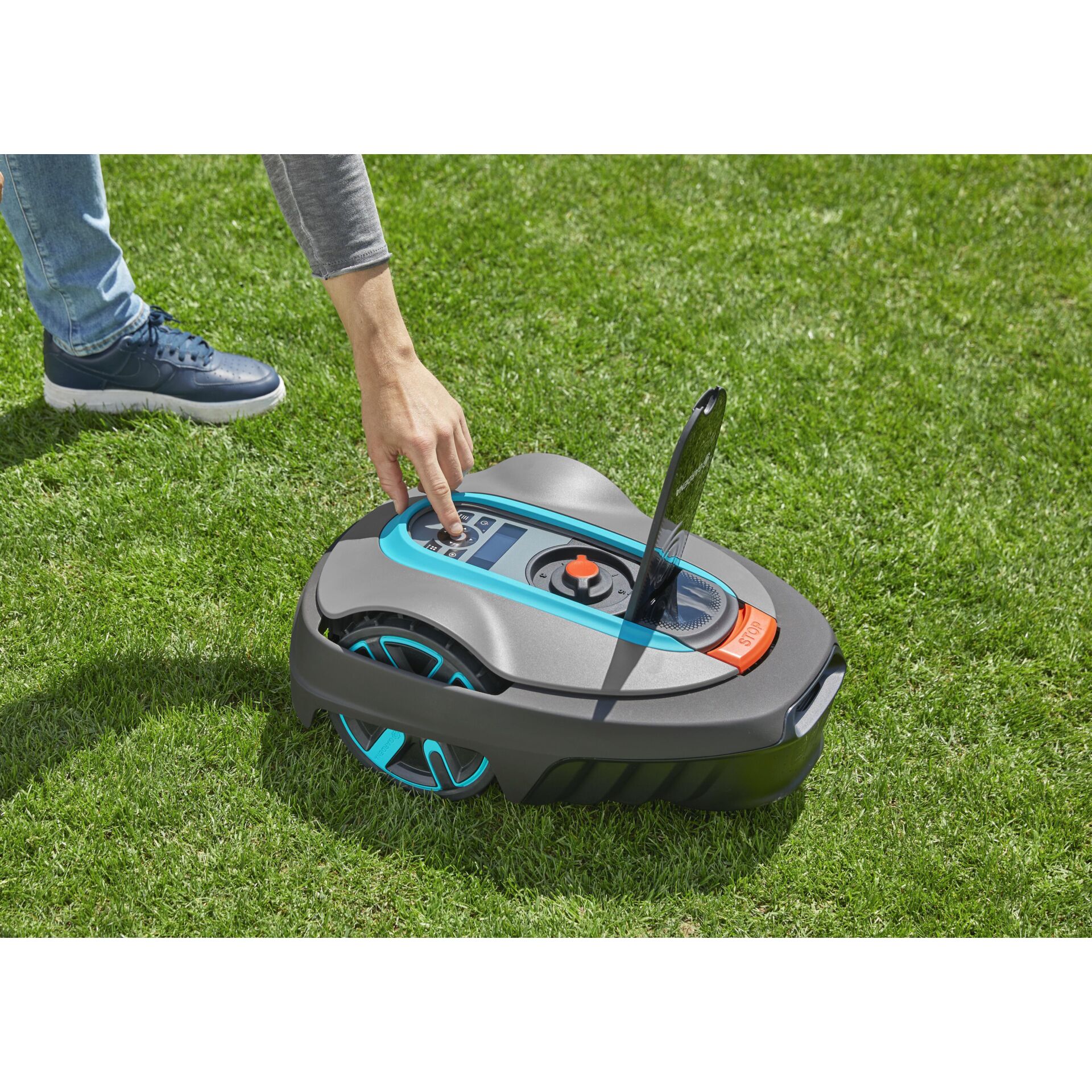 Gras, Pflanze, Rasen, Schuh, Person