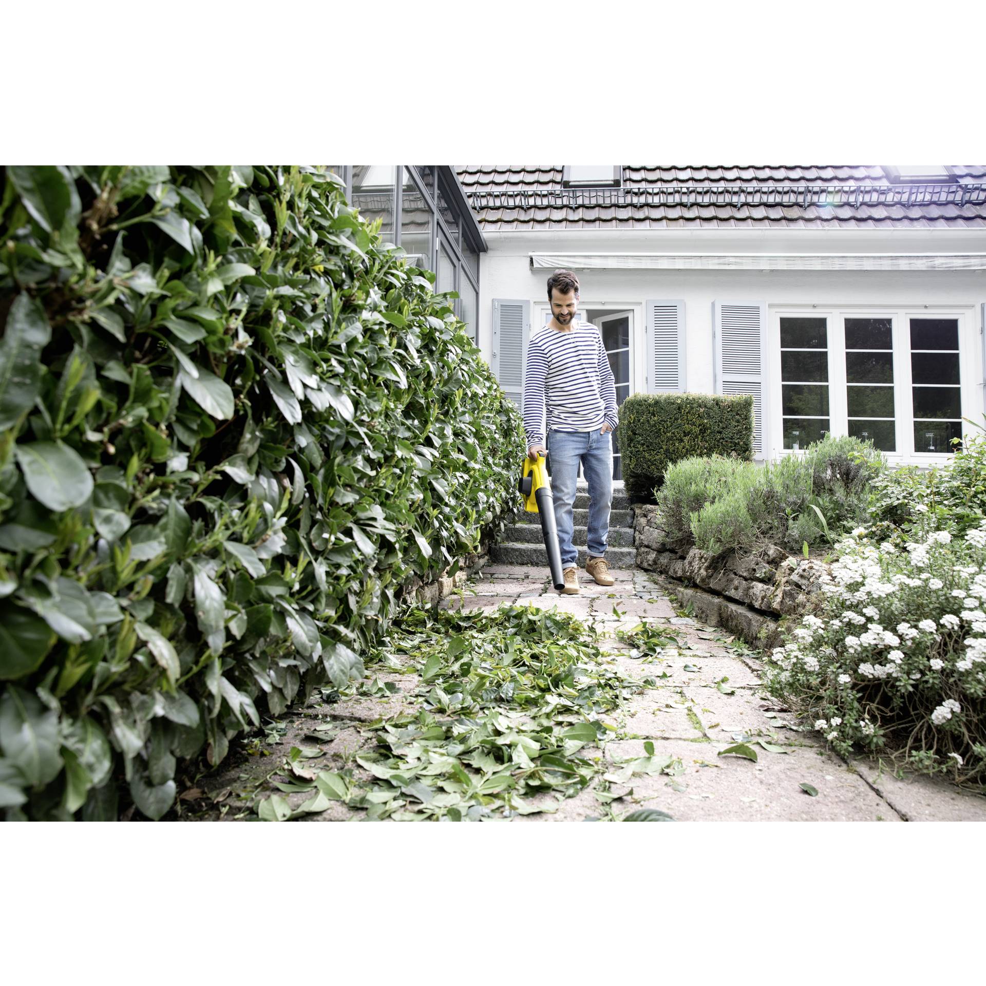 Gras, Garten, Innenarchitektur, Gartenarbeit, Person
