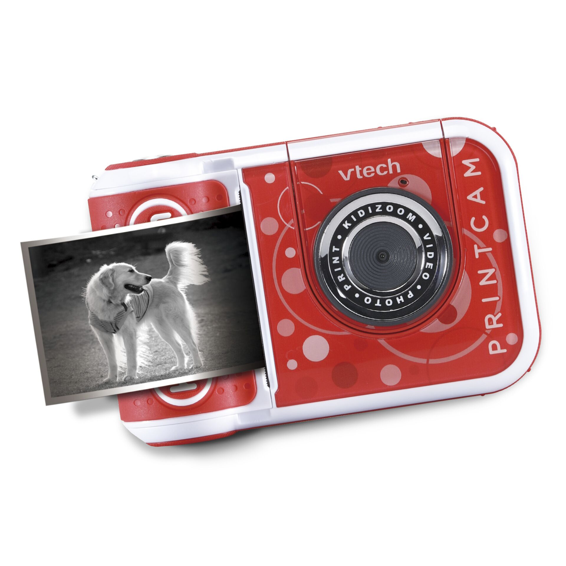 Kamera, Digitale Kamera, Elektronik, Hund, Haustier