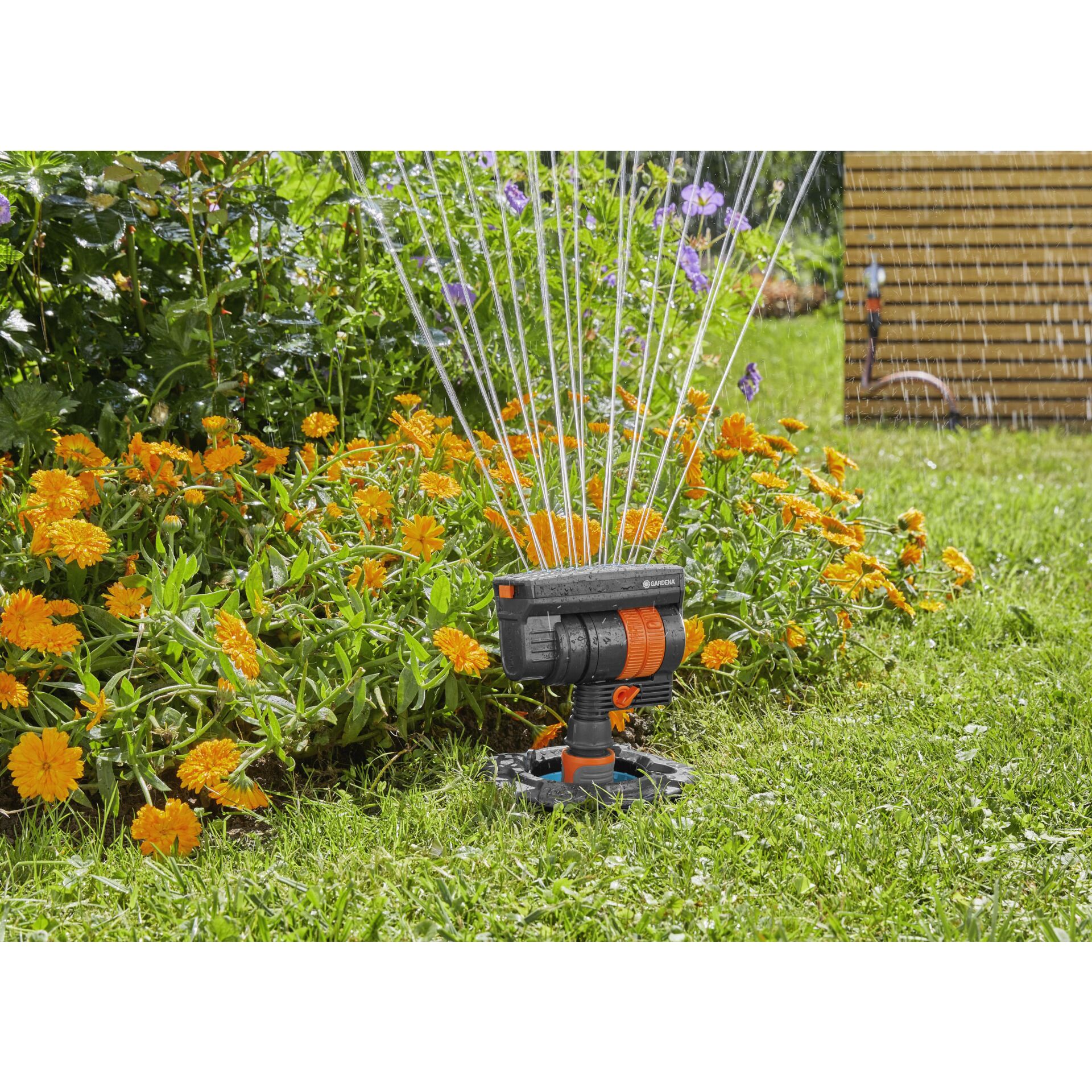 Gras, Pflanze, Wasser, Maschine, Sprinkler