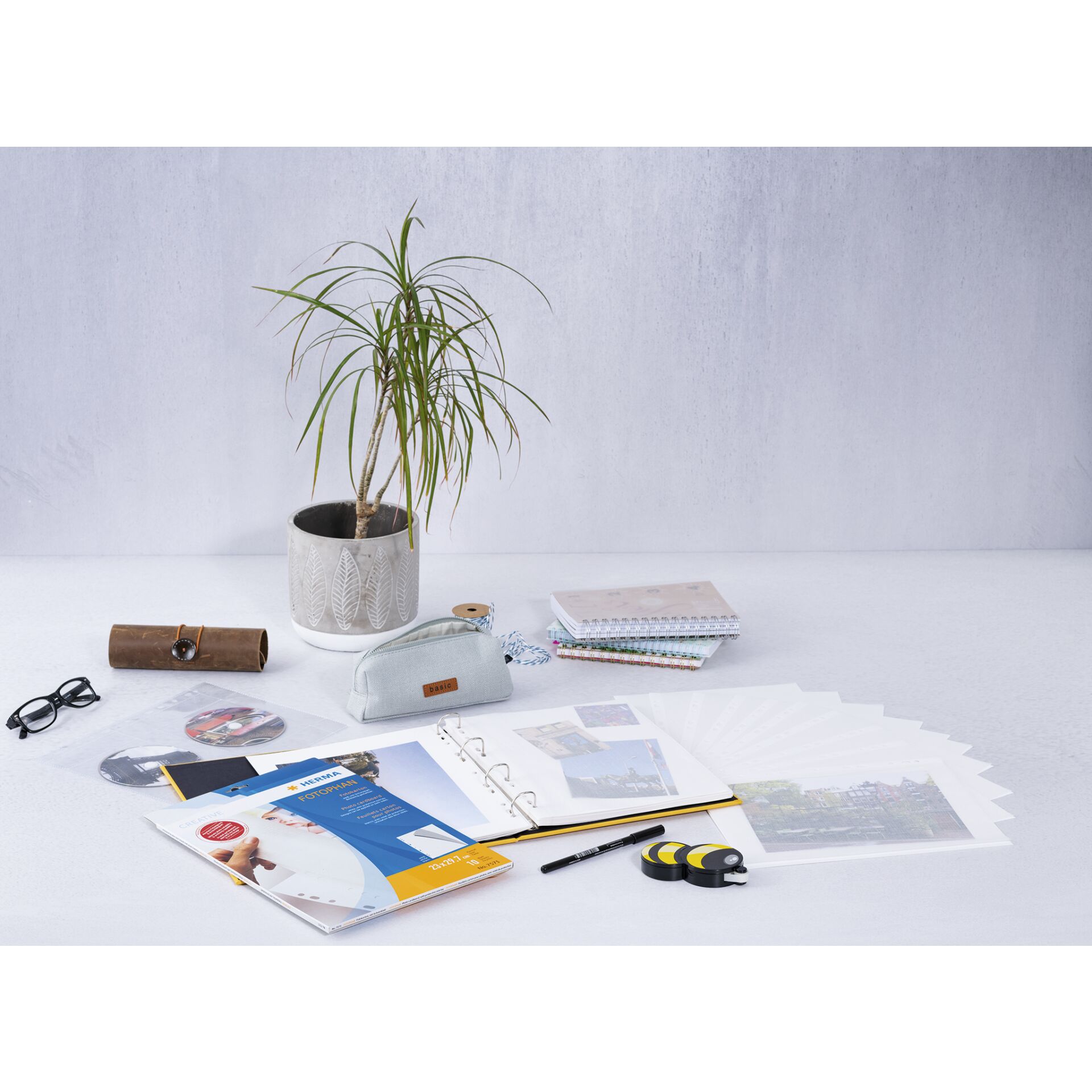 Pflanze, Pflanze im Topf, Stift, Tabelle, Text