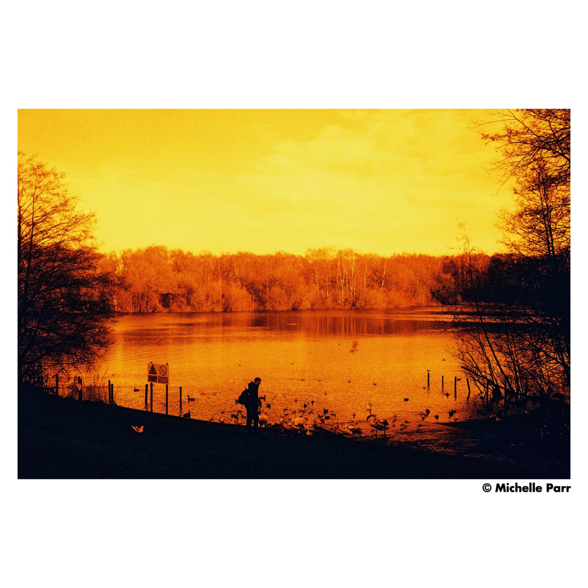Natur, Himmel, Szenerie, Silhouette, Sonnenuntergang, Natur, Himmel, Szenerie, Silhouette, Sonnenuntergang