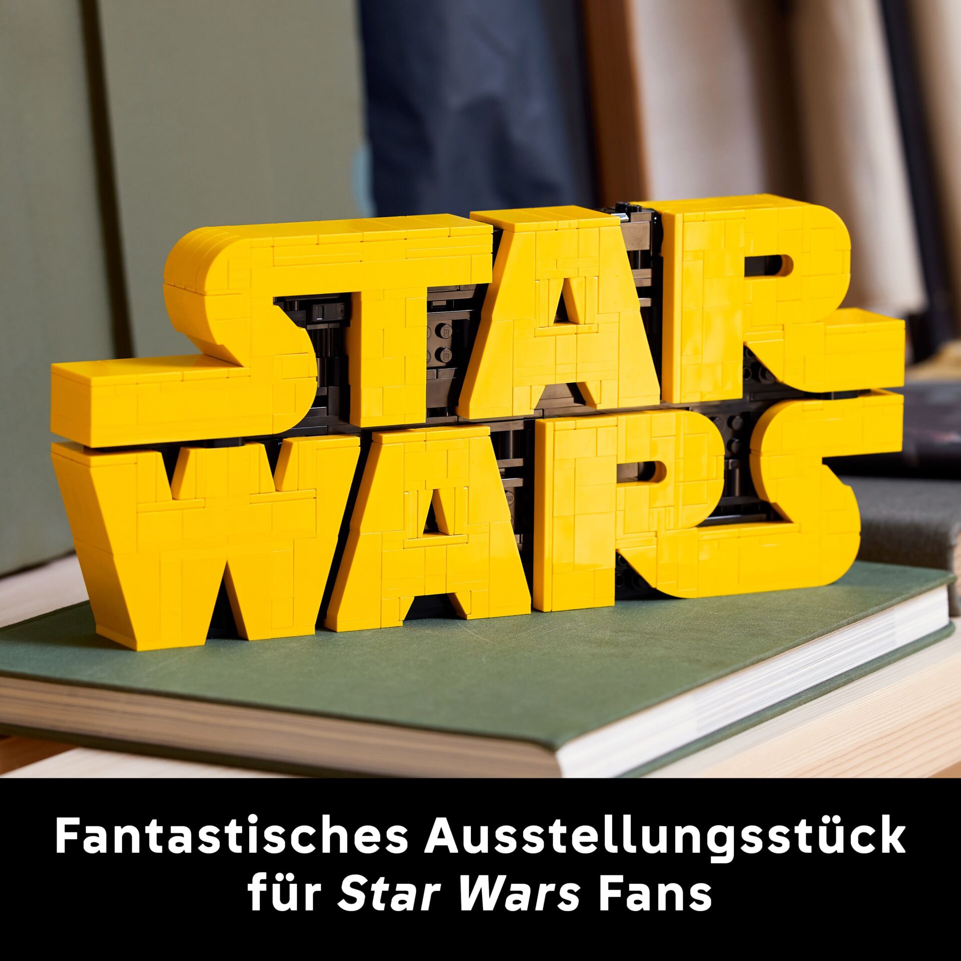 Publikation, Buch, Text