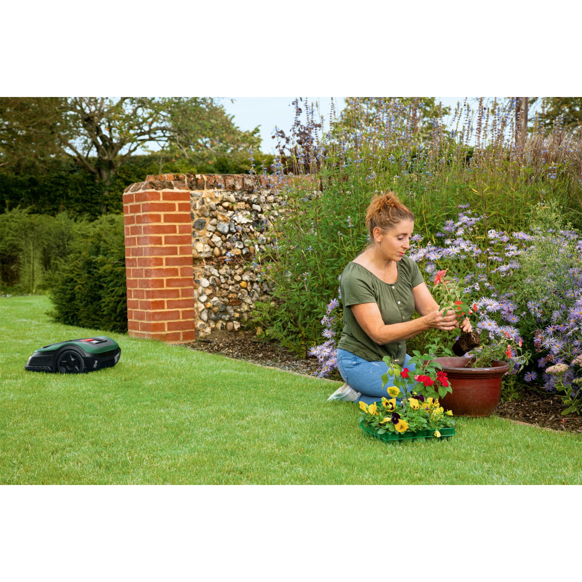 Garten, Natur, Gras, Gartenarbeit, Rasen