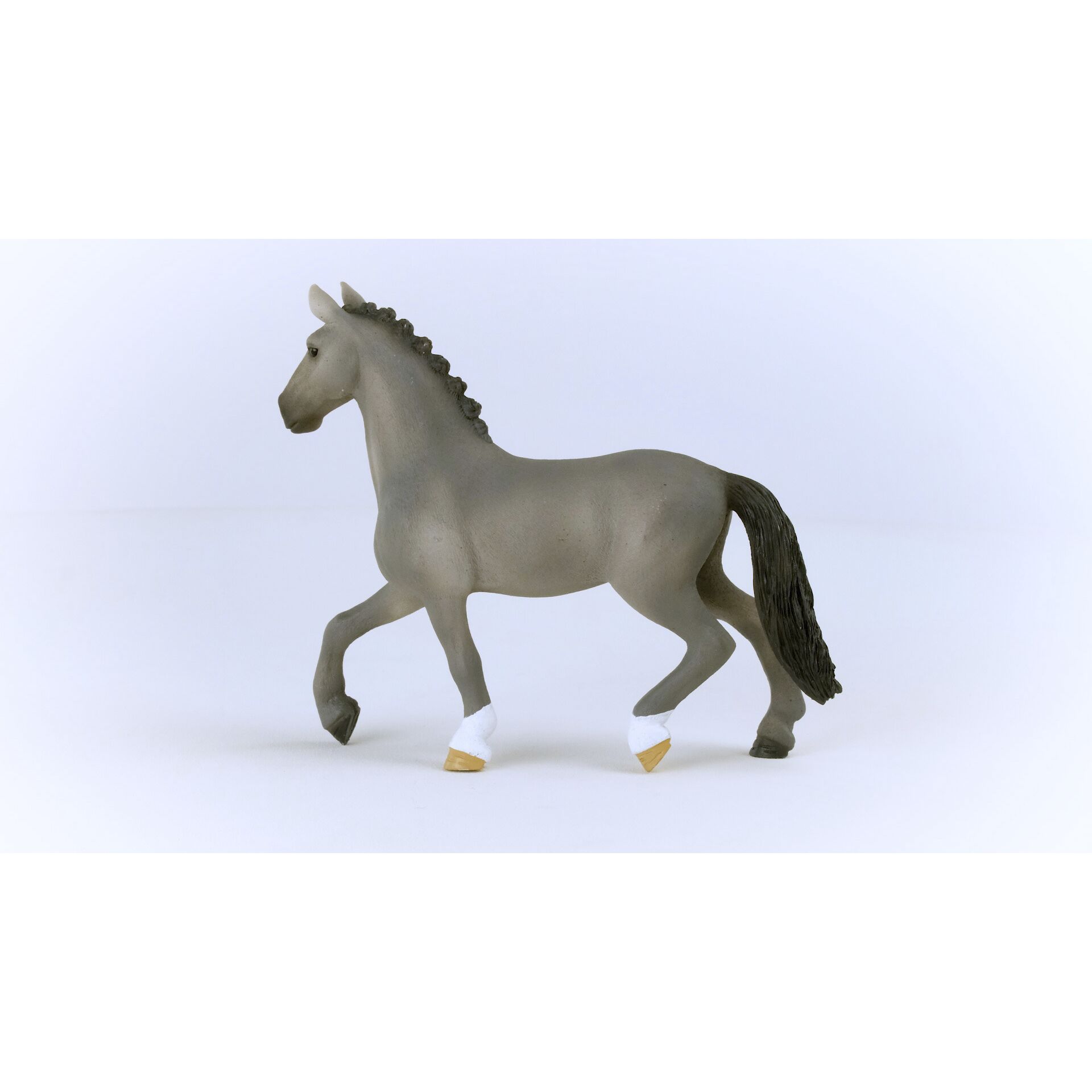 Tier, Colt Horse, Pferd, Säugetier