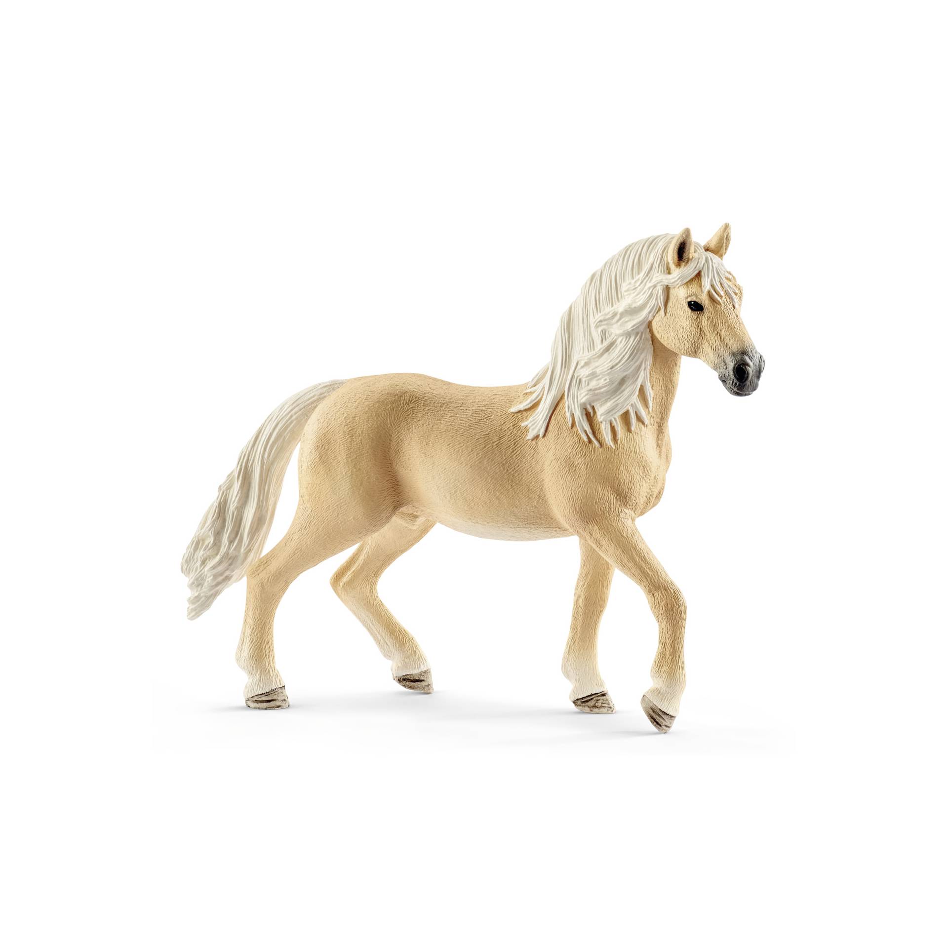 Tier, Pferd, Säugetier, Colt Horse