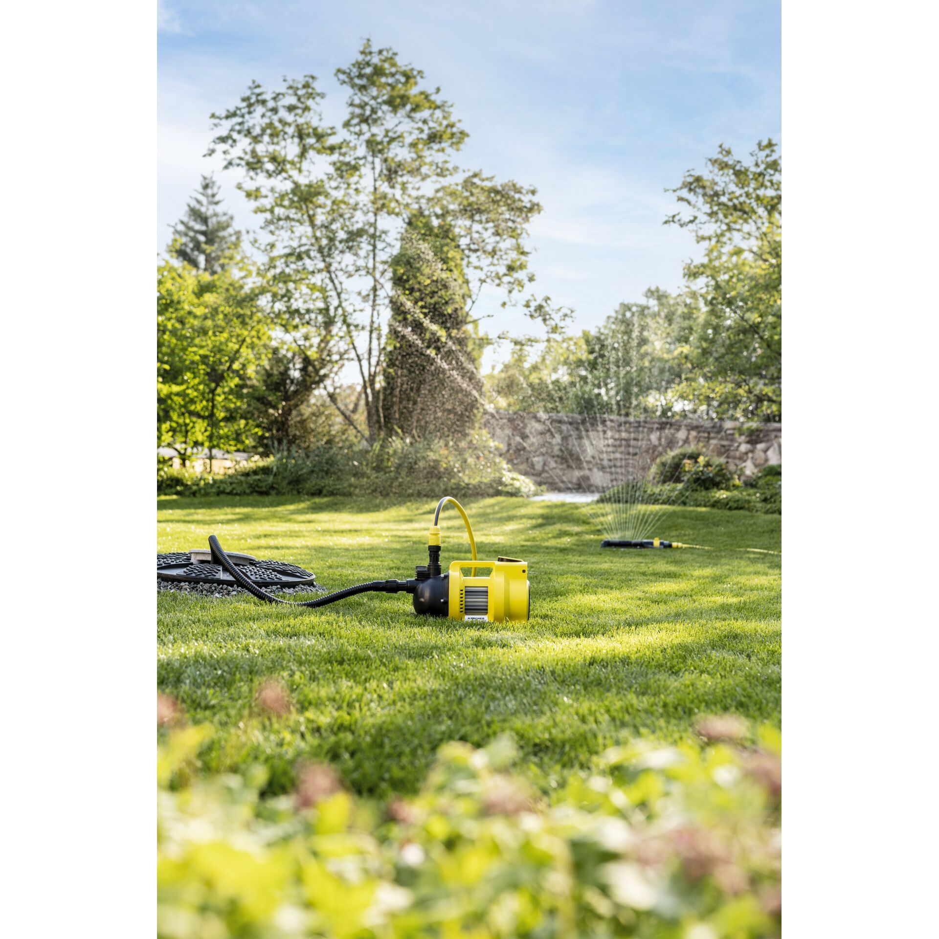 Gras, Pflanze, Rasen, Wasser