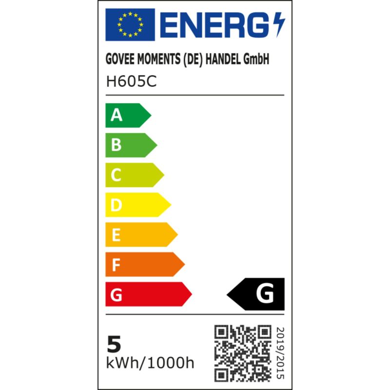 Govee - Envisual TV Backlight T2  with Dual Cameras 55" - 65" – Energieeffizienzklasse G